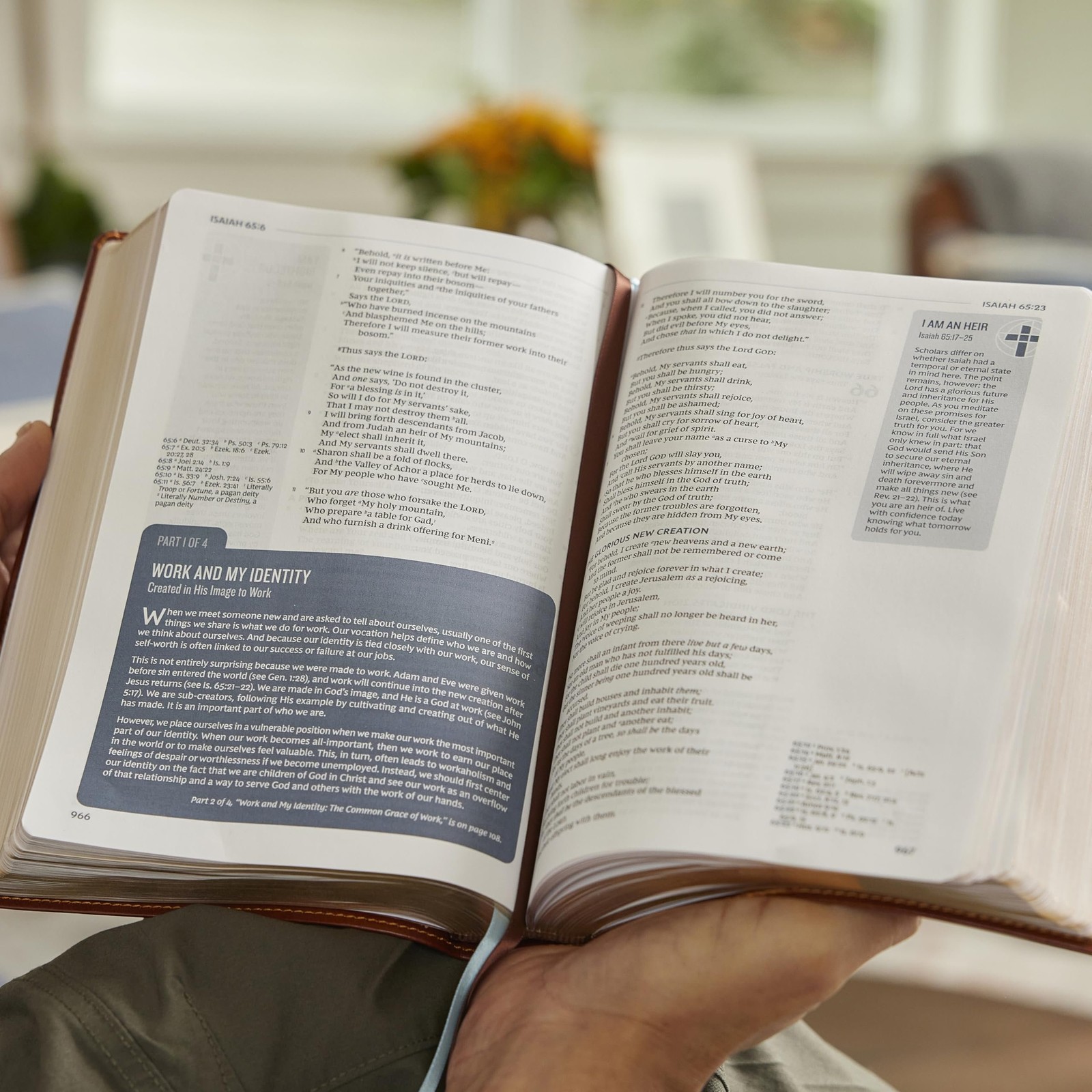 Life in Christ Bible: Discovering, Believing, and Rejoicing in Who God Says…