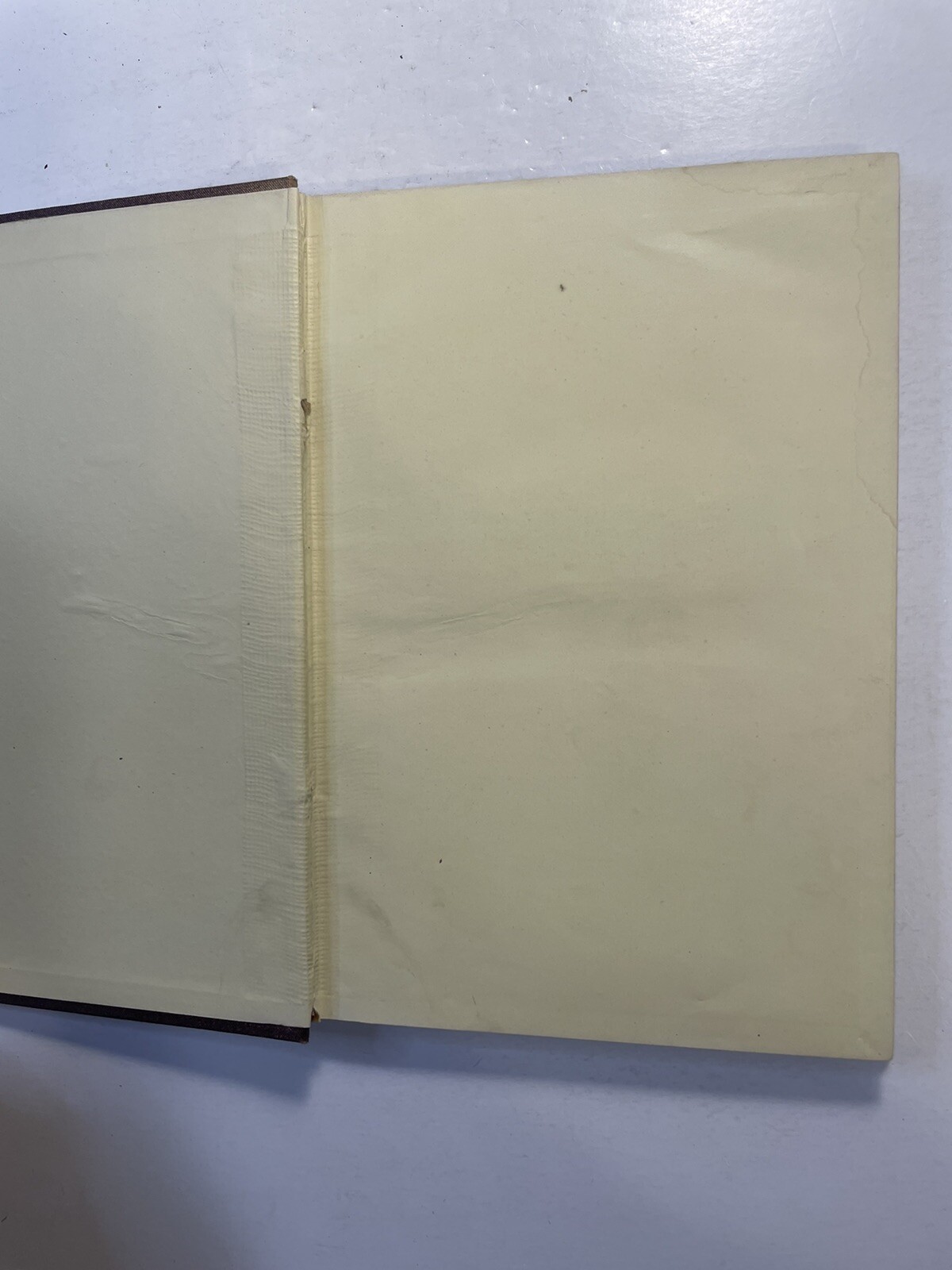 Light Mayer and Barnard D. Appleton and Company 1878 First Edition? Education