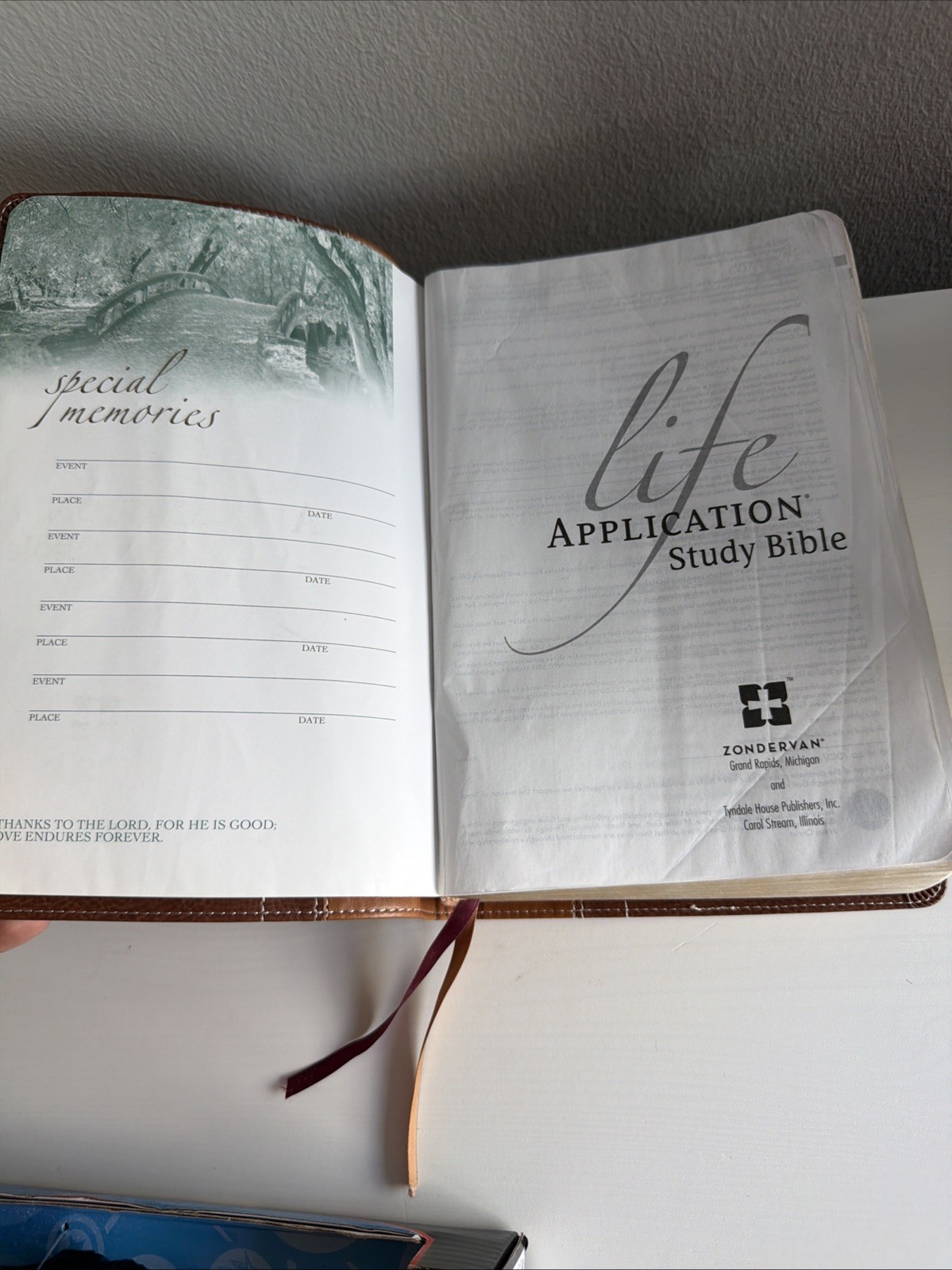 Life Application Study Bible NIV Large Print 2011 Italian Duo Tone Leather