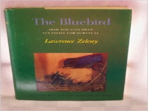 The bluebird: How you can help – VERY GOOD