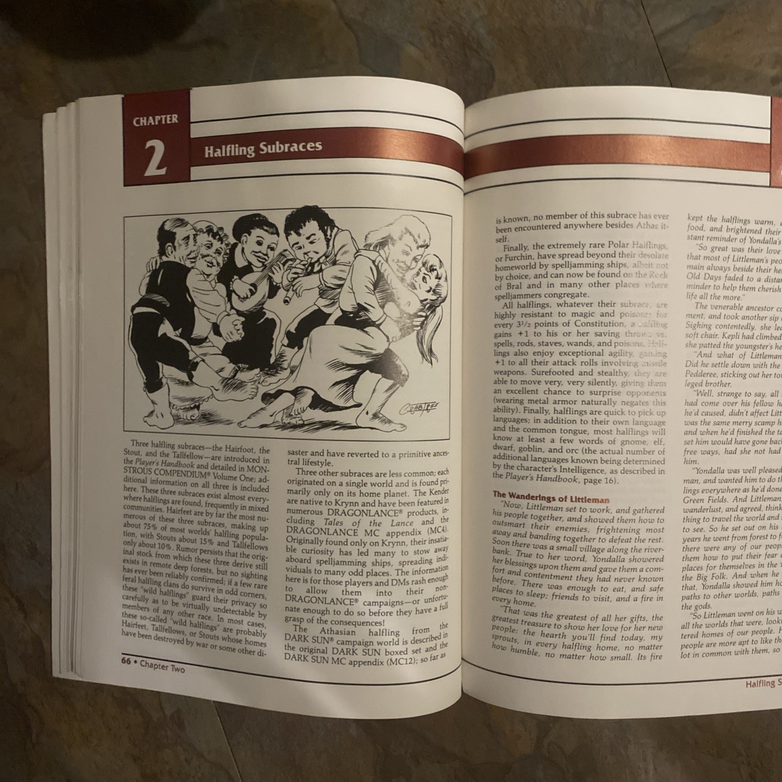 TSR AD&D 2nd EDITION COMPLETE BOOK OF GNOMES AND HALFLINGS 3rd PRINTING 1994