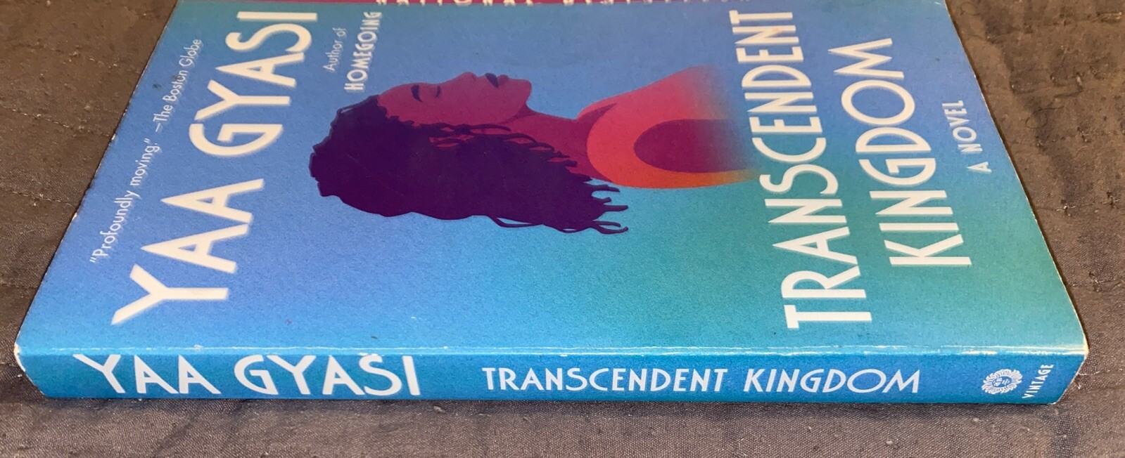Transcendent Kingdom : A Novel by Yaa Gyasi {2020, Paperback) **NEW**