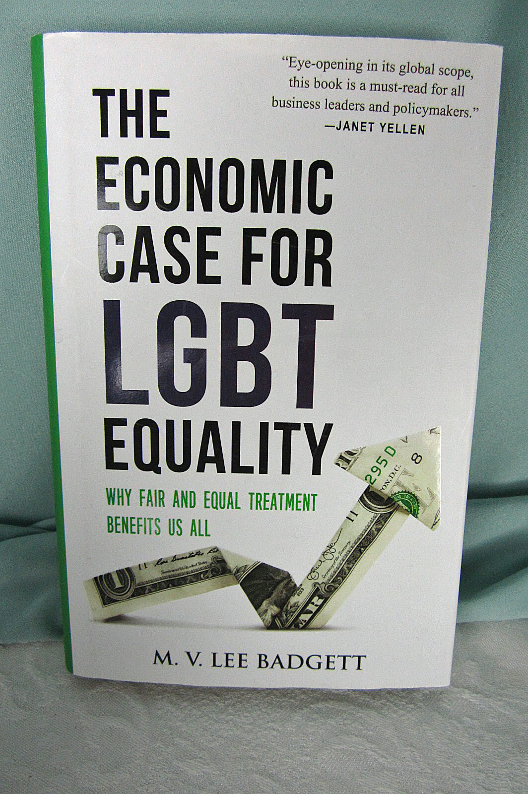 The Economic Case for LGBT Equality M V Lee Badgett 228 pages H C New