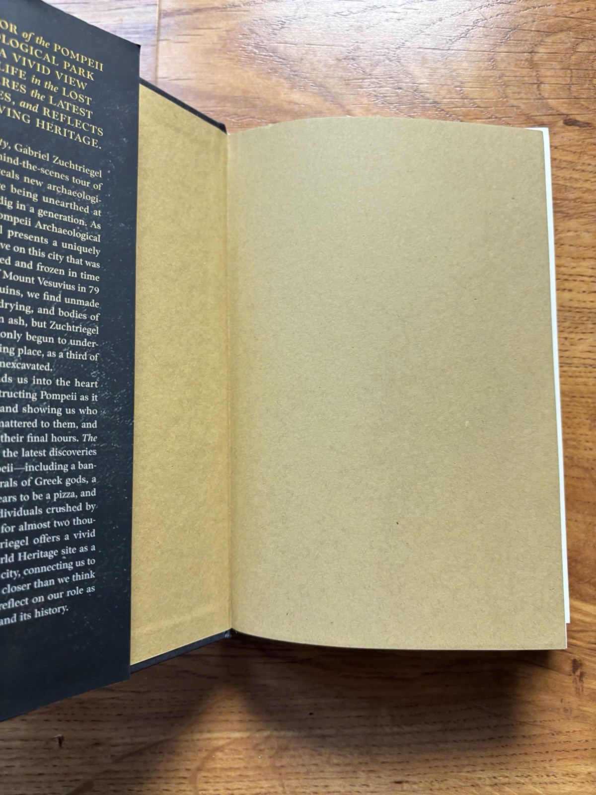 Buried City : Unearthing the Real Pompeii, Hardcover by Zuchtriegel, Gabriel;…