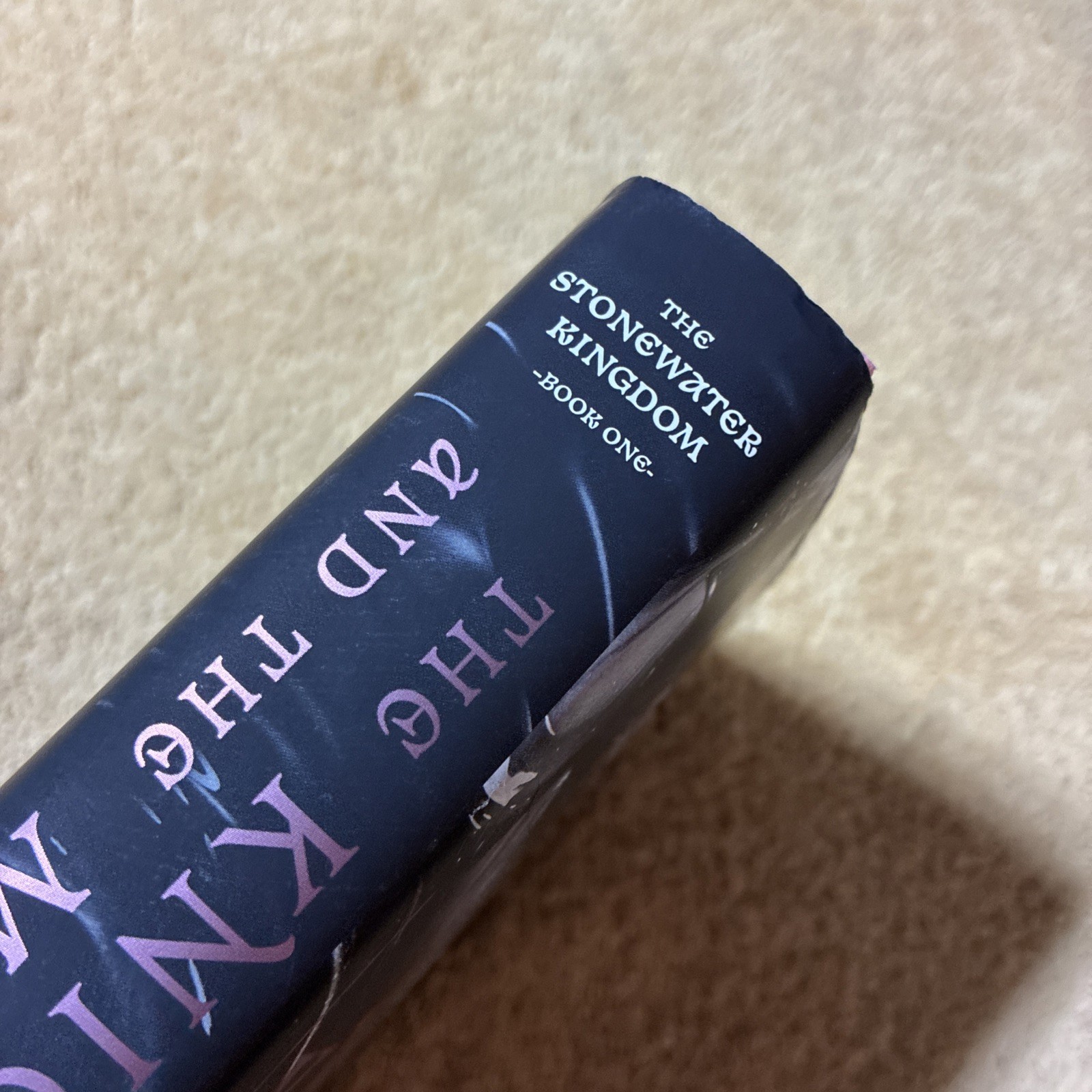 The Knight and the Moth by Rachel Gillig TARGET EXCLUSIVE EDITION