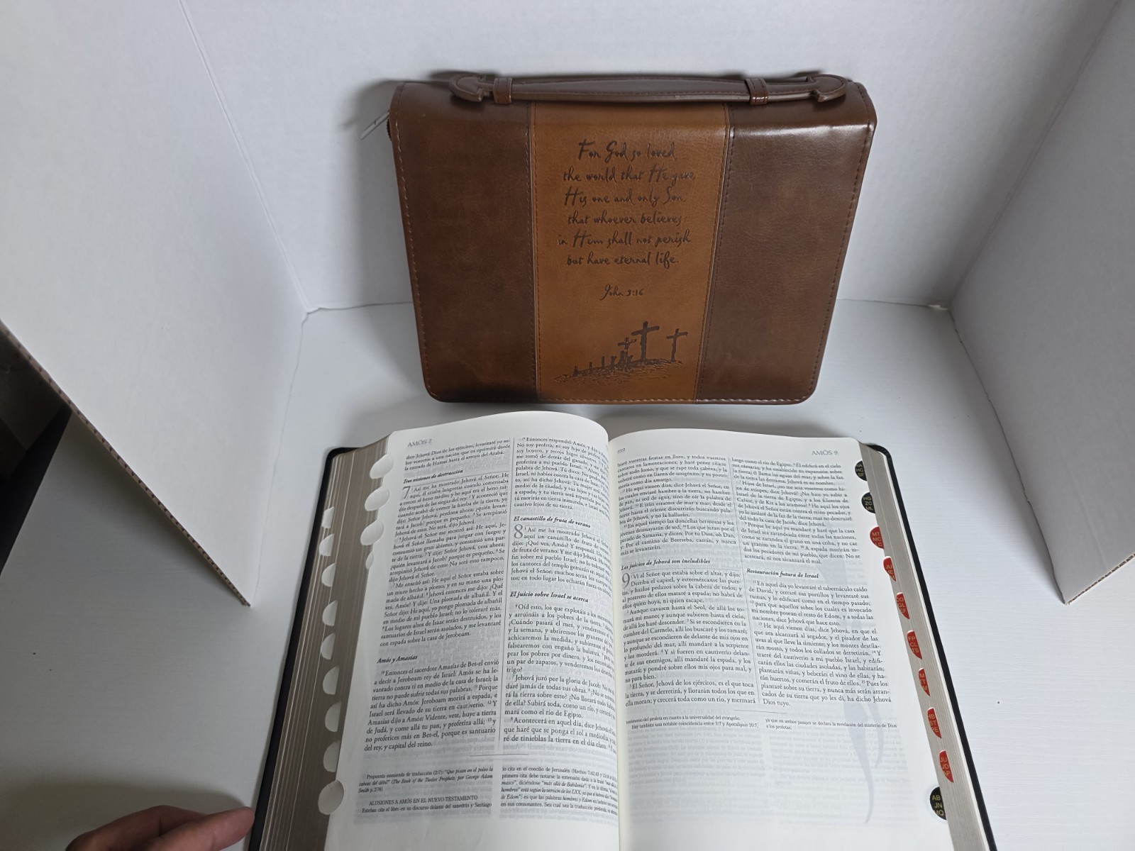 BIBLIA DE ESTUDIO EXPLICADA RVR 1960, Piel Especial Negro Con Indice