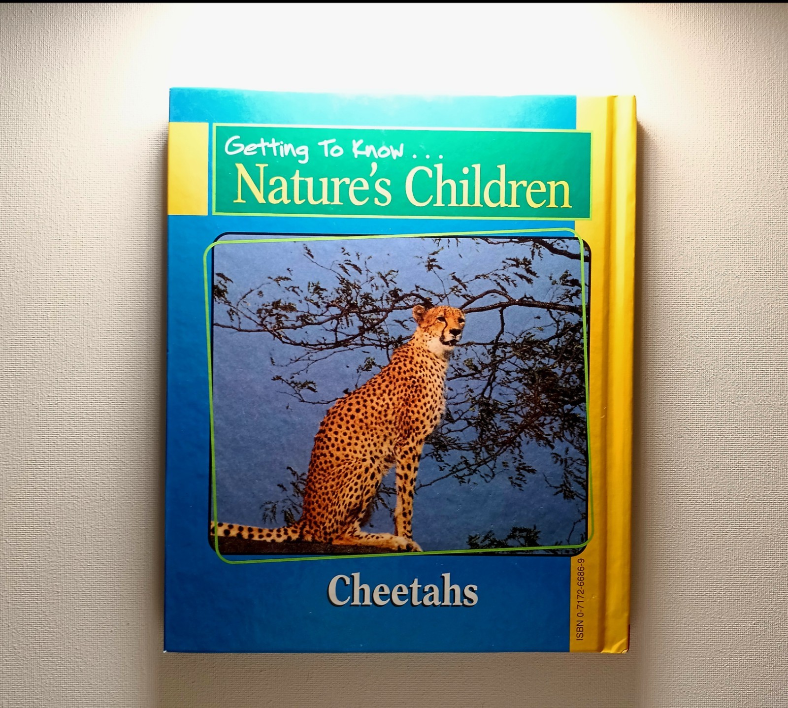 Scholastic Getting to know Nature’s children Animal Books Lot of 6 (hard cover)
