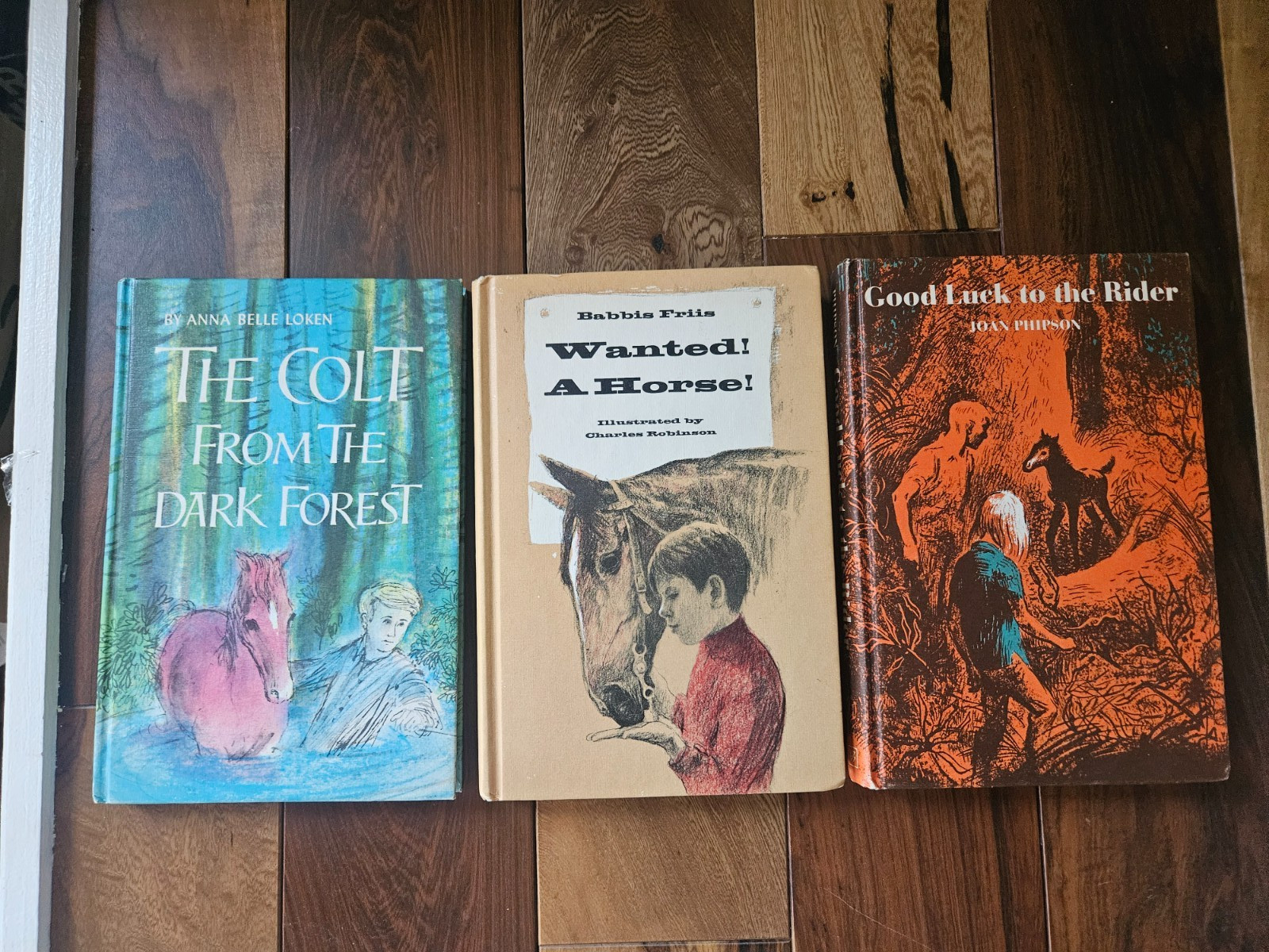 Mixed lot of 3 Vintage Horse Stories Books (Hardcover)