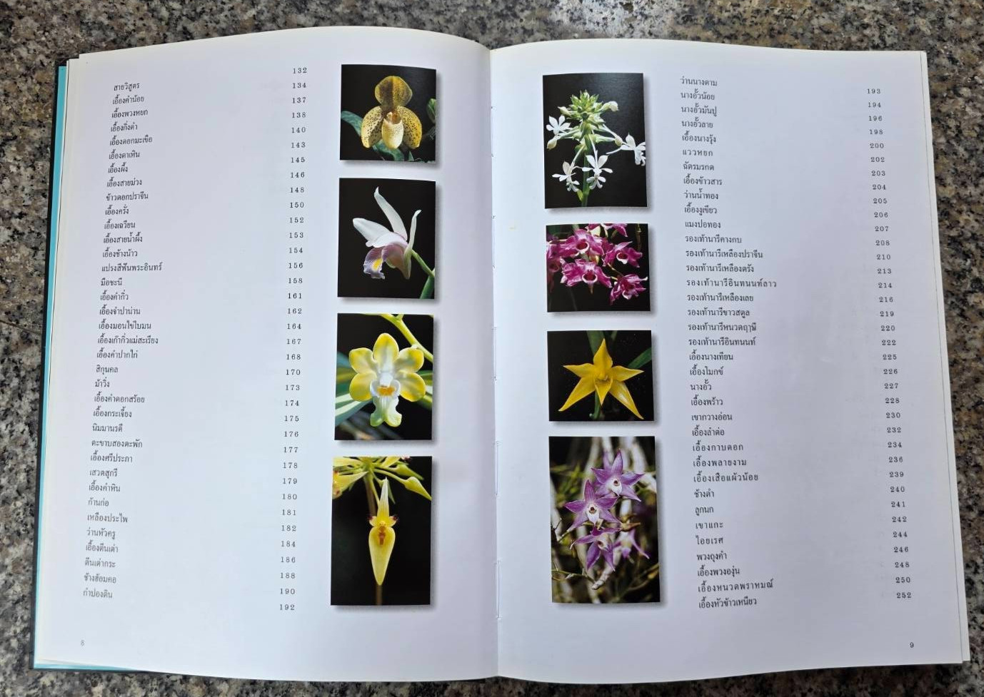 Hardcover book featuring all “ Thai orchids. “ ( Hardcover)