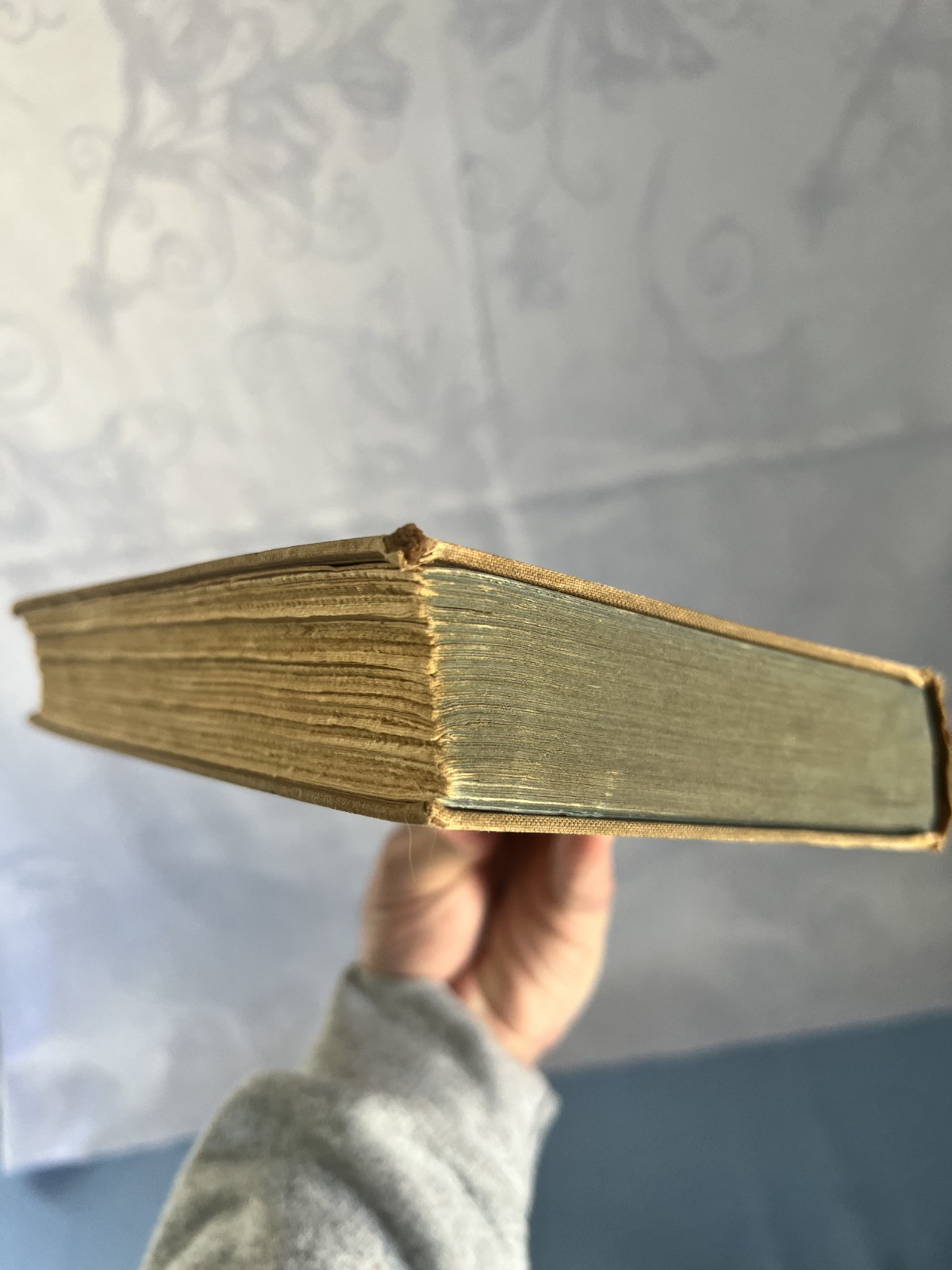 John Steinbeck Tortilla Flat 1935 TRUE 1st Edition Covici-Friede NO DJ