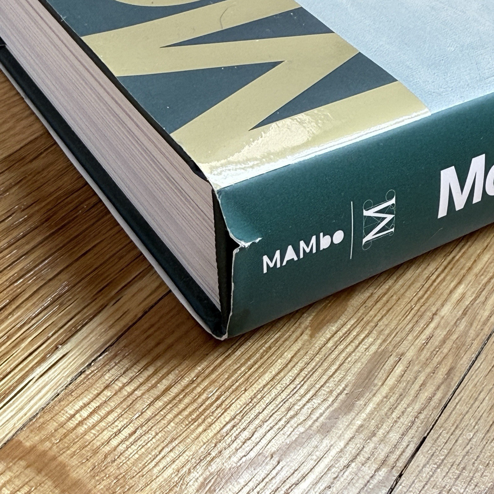 Morandi 1890-1964 Hardcover Art Book Rizzoli International MAMbo & MOMA