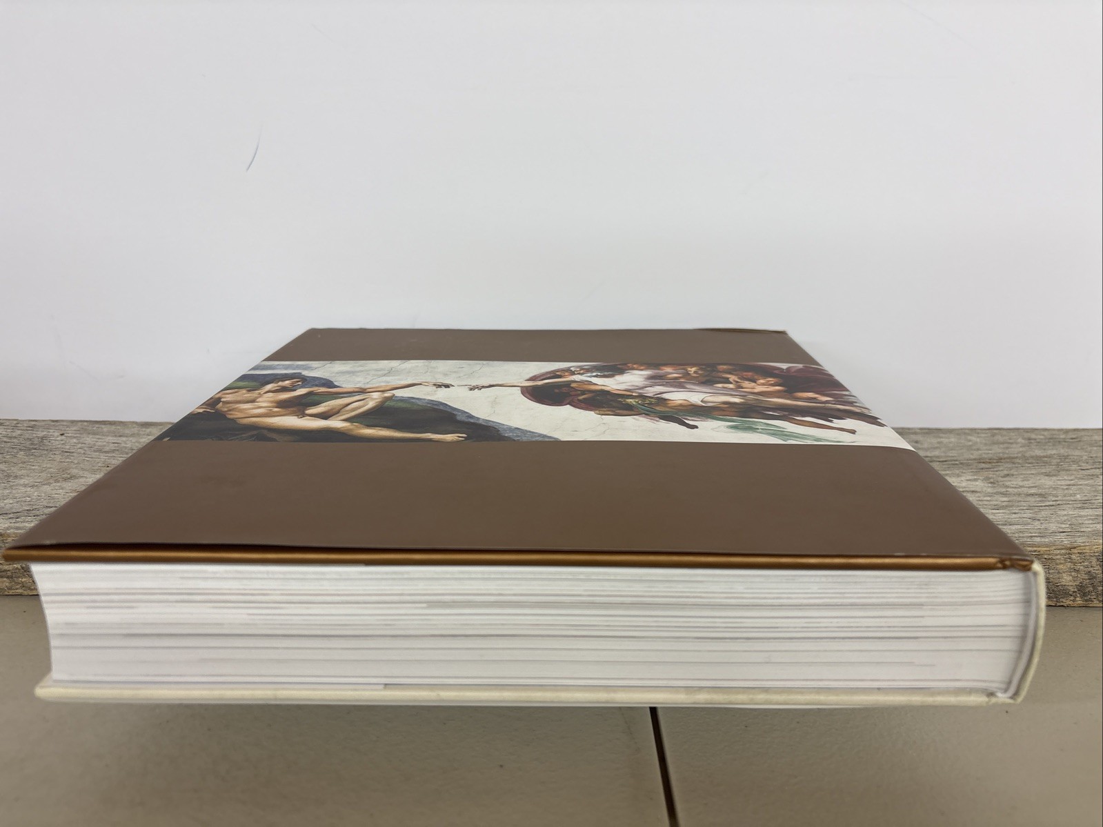 Vatican All the Paintings The Complete Collection Anja Grebe HC Book W/DVD EUC