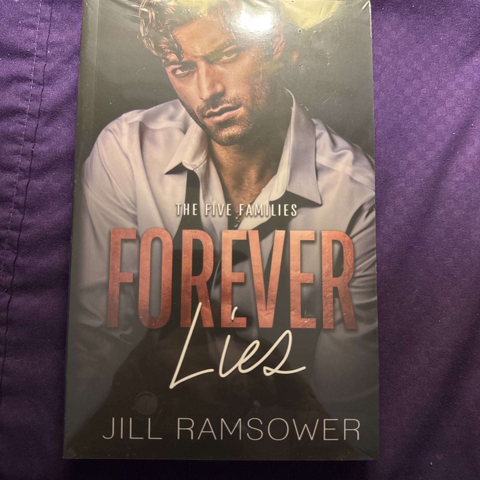 The Five Families Series Dark Mafia Spicy Romance Jill Ramsower #1-6 + Loyalty’s