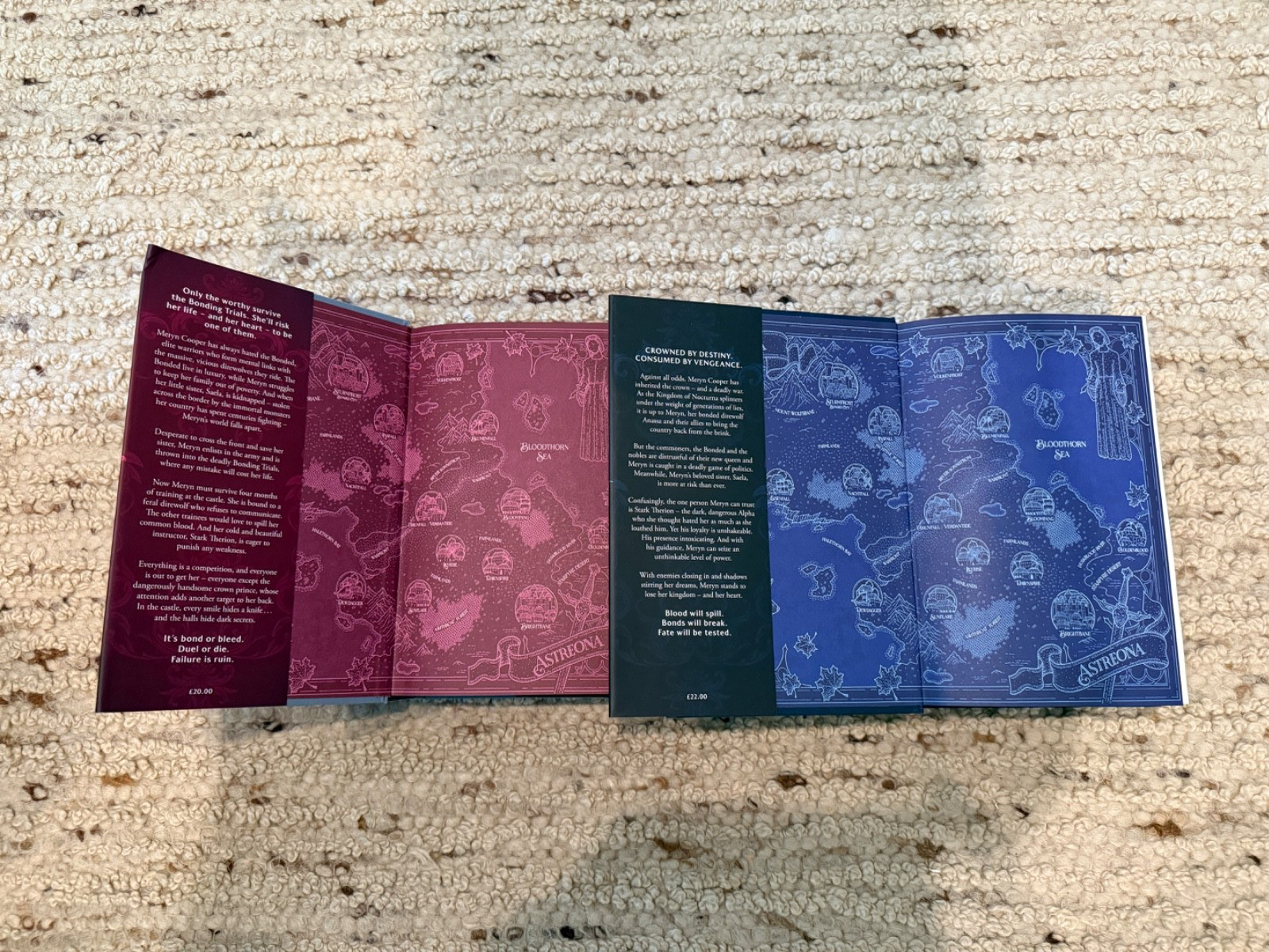Waterstones Exclusive Dire Bound & Fury Bound Deluxe HC Set Sprayed Edges