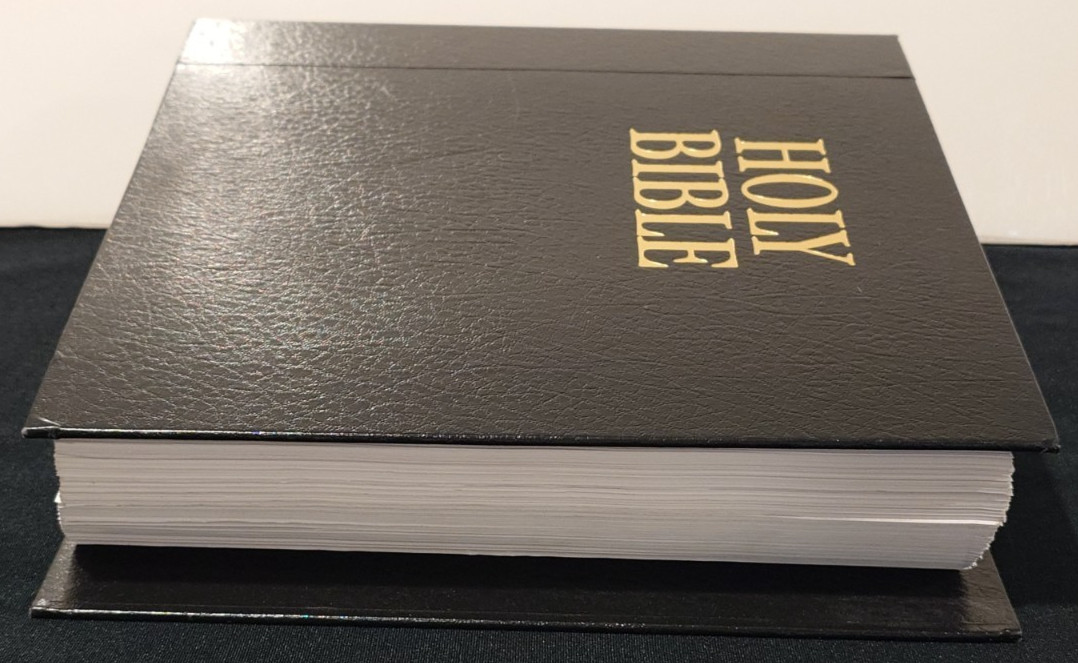 Hendrickson Holy Bible NLT Center Column Reference Ed. 2020 Loose Leaf 3-Ring