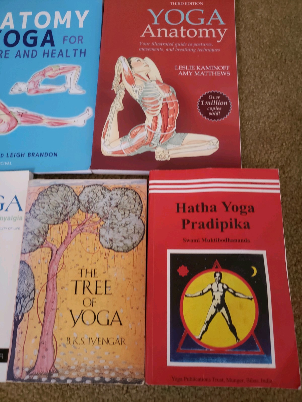 Yoga 7 book lot Hatha Yoga , Stretching , Anatomy , Flexibility ETC