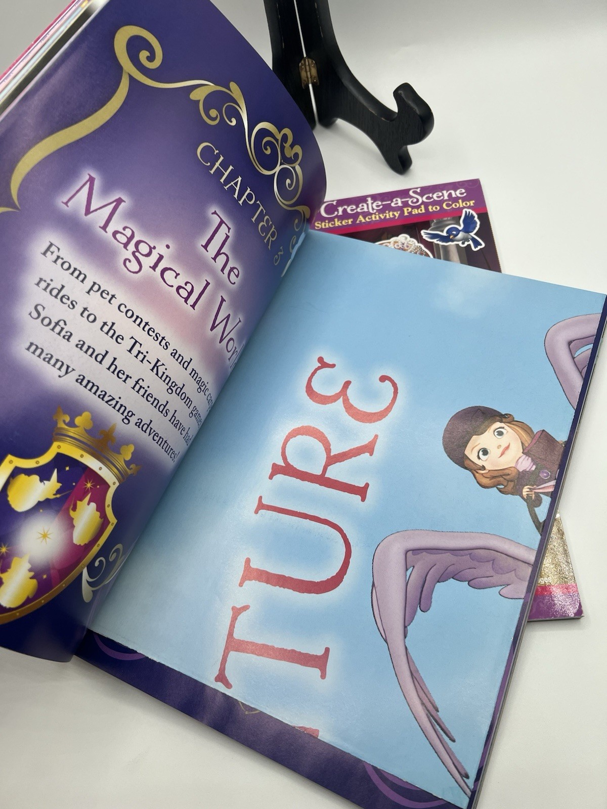 Disney Sofia the First Bundle: Create A Scene & Poster A Page Book w/ 2 Glasses