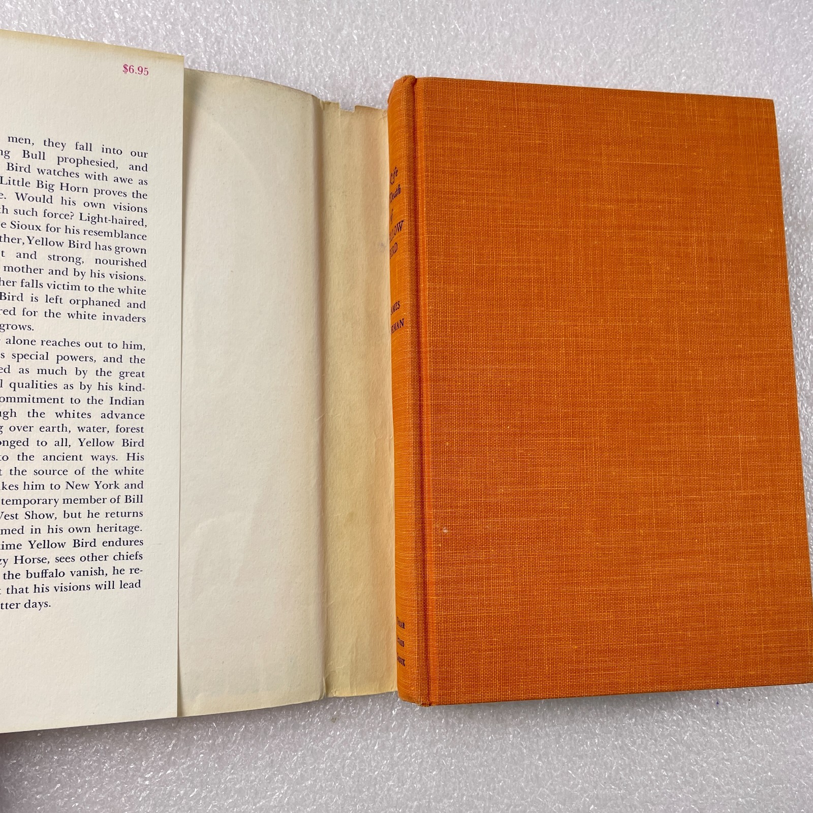 The Life and Death of Yellow Bird by James Forman – Farrar Straus Giroux 1975 HC
