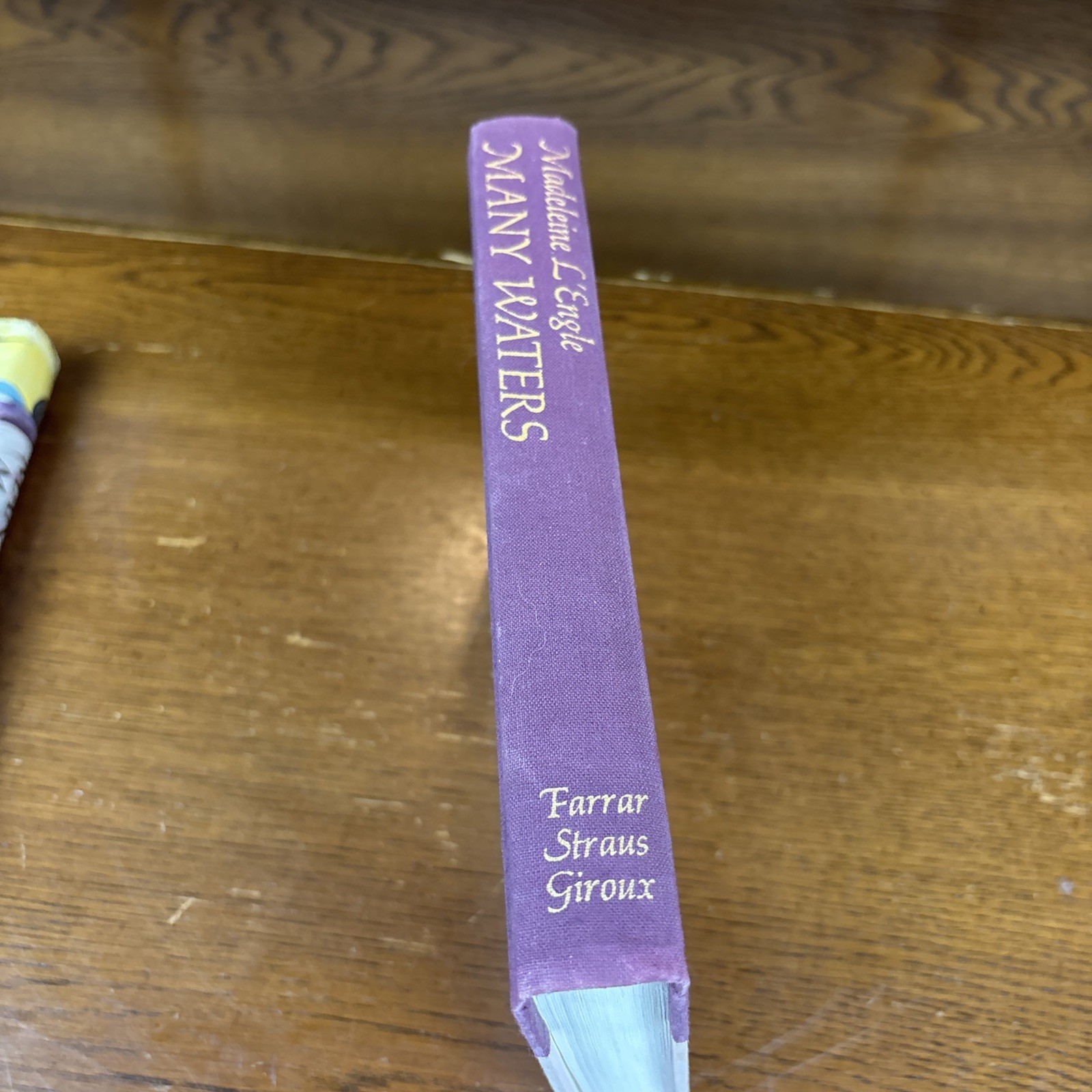 Many Waters by Madeleine L’Engle (1986, Hardcover) First Edition