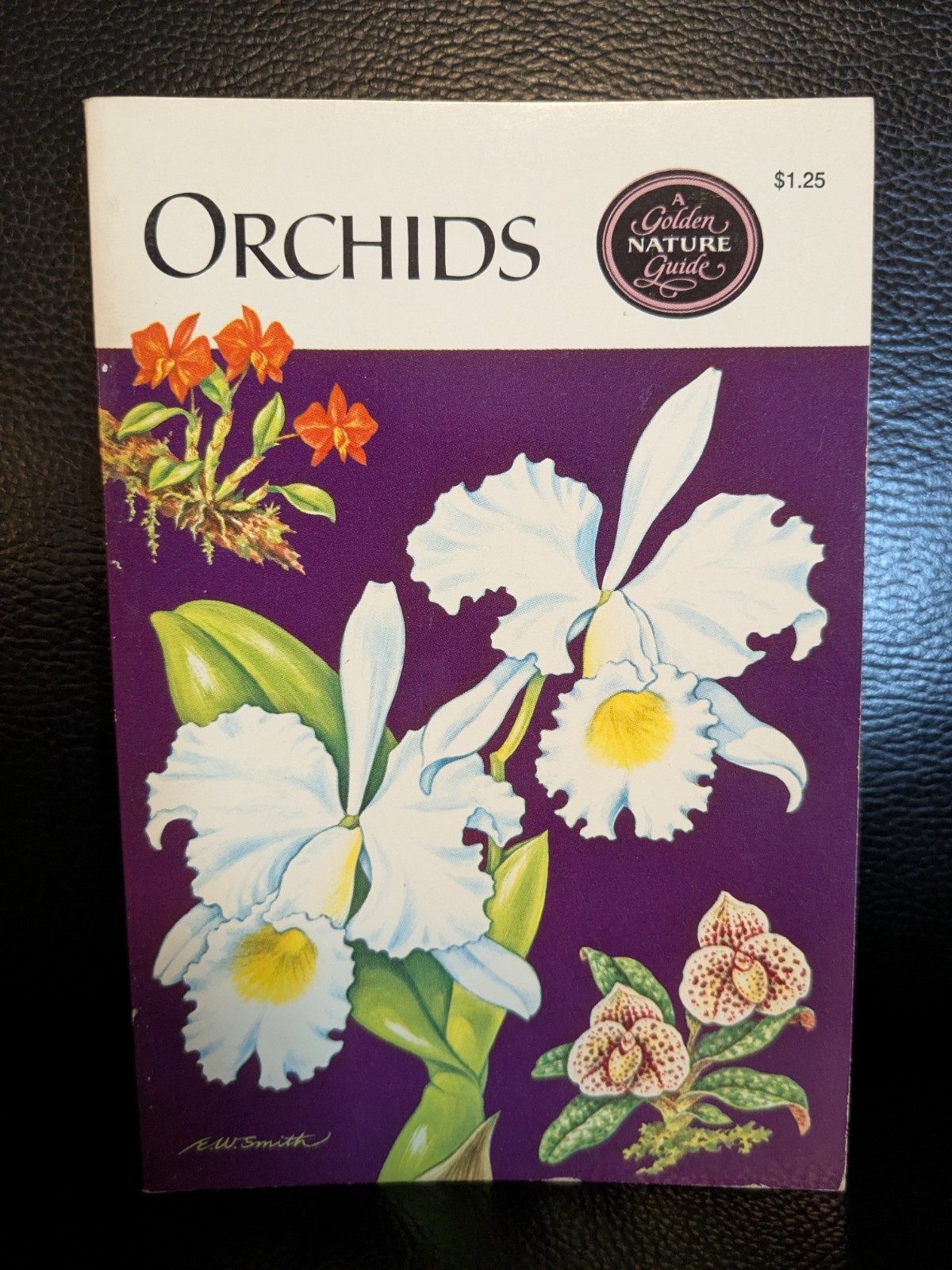 FIRST EDITION! Orchids — A Golden Guide