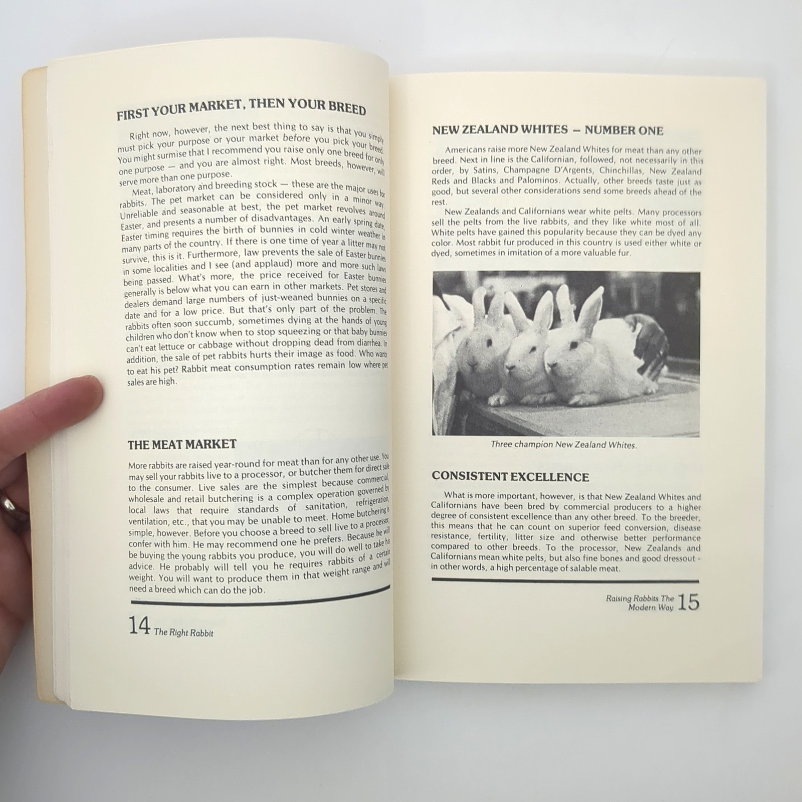 Raising Rabbits The Modern Way Livestock Homesteading Paperback Book Bob 1976