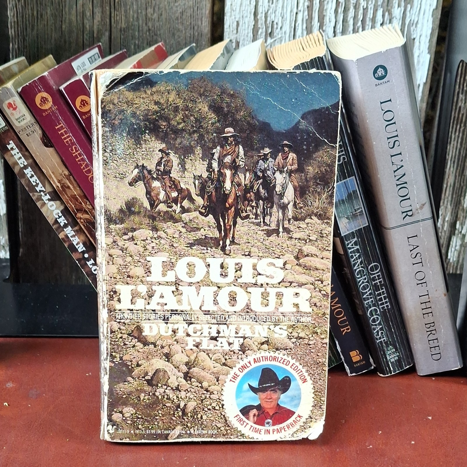 Louis L’Amour Western Lot (18 Books) Frontier Adventure Set