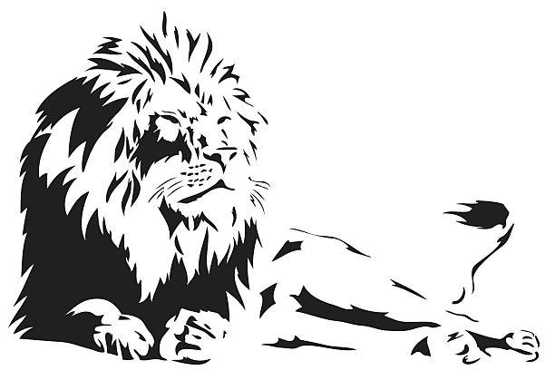 Best Lion Coloring Book save the Lions 108 Pages 8.5 x 11 for All Ages