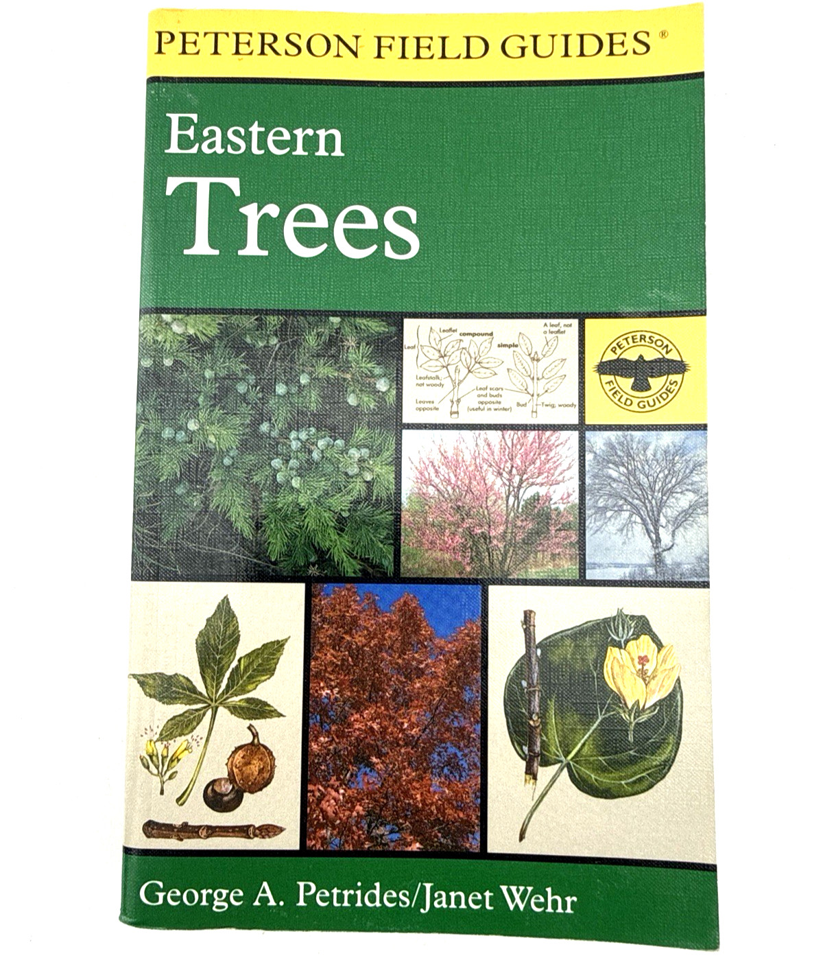 Peterson Field Guide to Eastern Trees George A. Petrides Janet Wehr