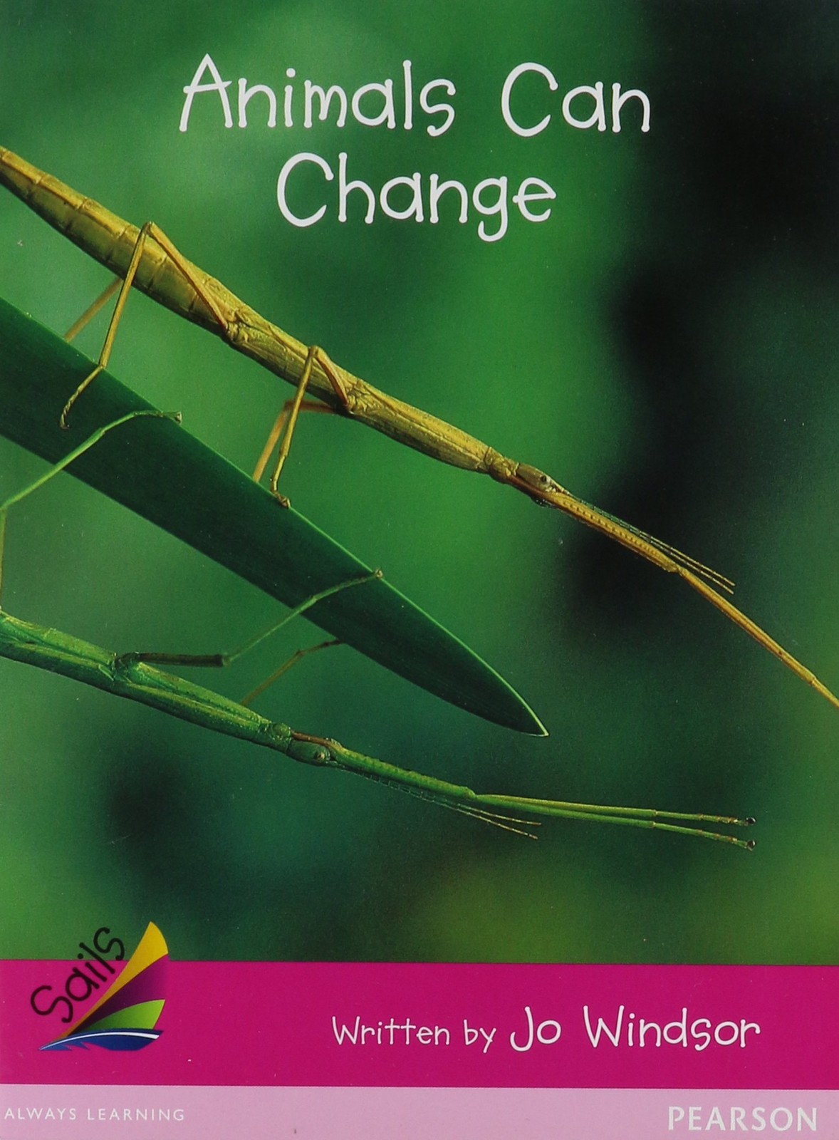 Animals Can Change (Sails: Emergent, Magenta)