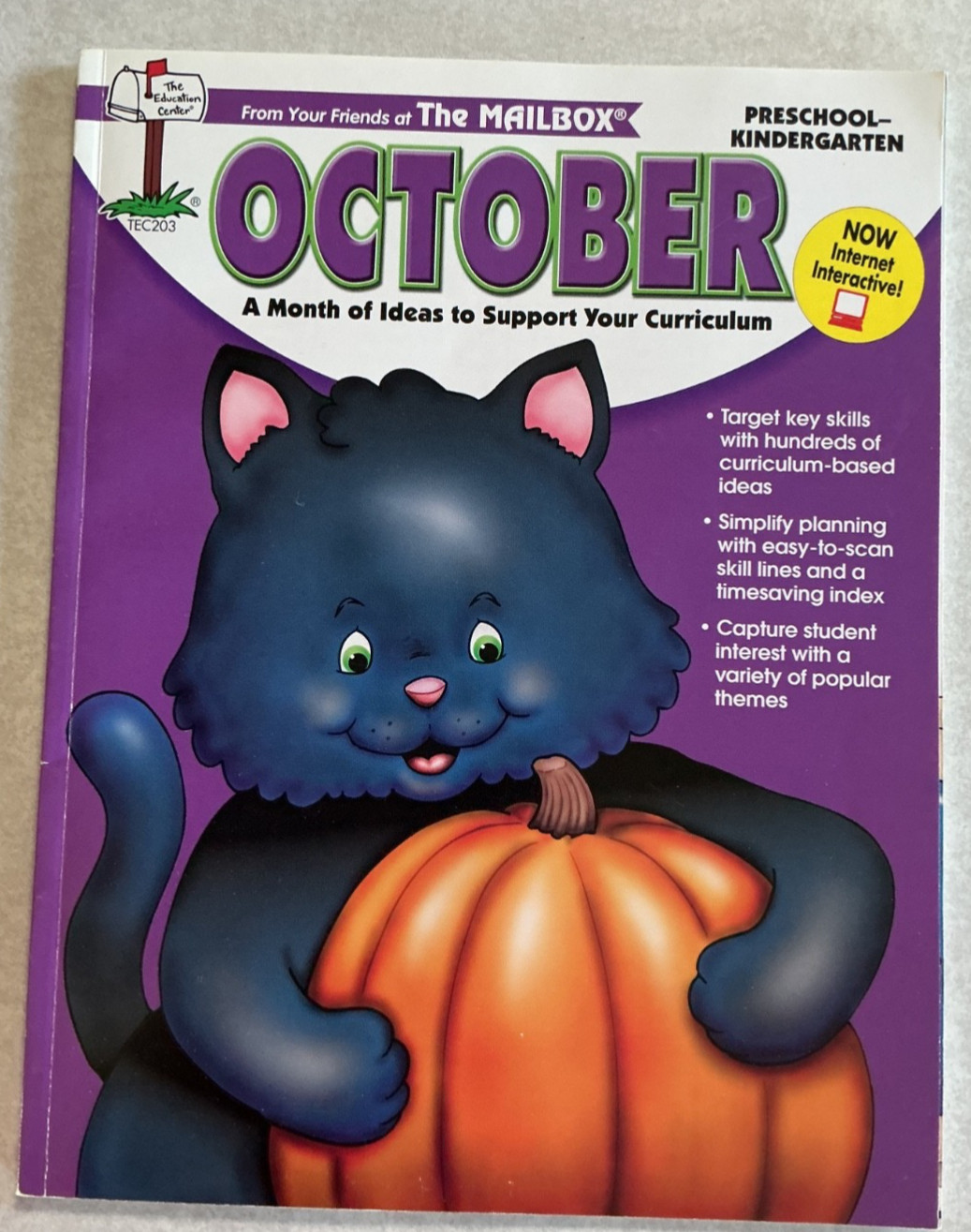 Lot of 11 Various Workbooks for Pre-K & Kindergarten Homeschool