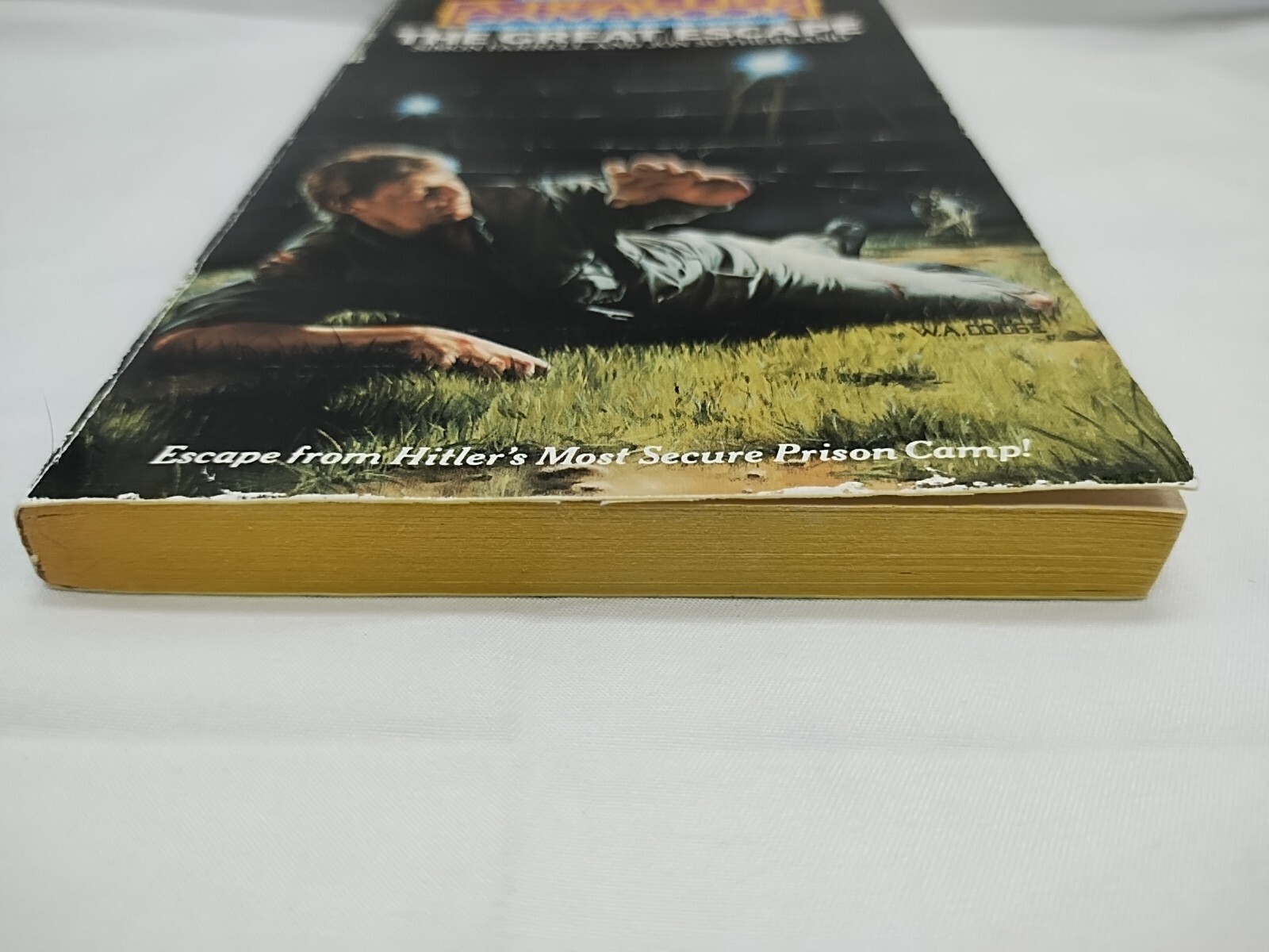 A Real Life Gamebook The Great Escape Choose Your Own Adventure Book