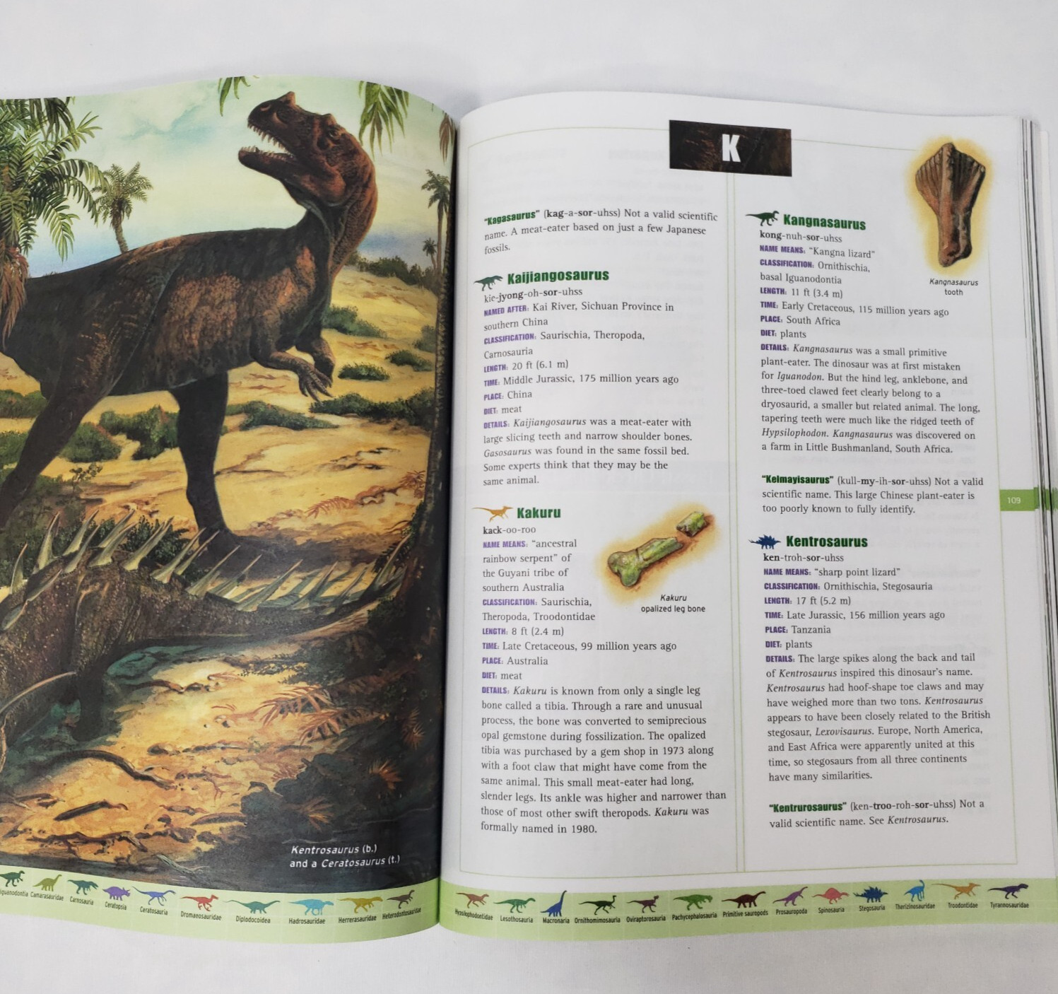 Kids Books About Dinosaurs Lot Of 10 Homeschool Classroom Library Picture Books