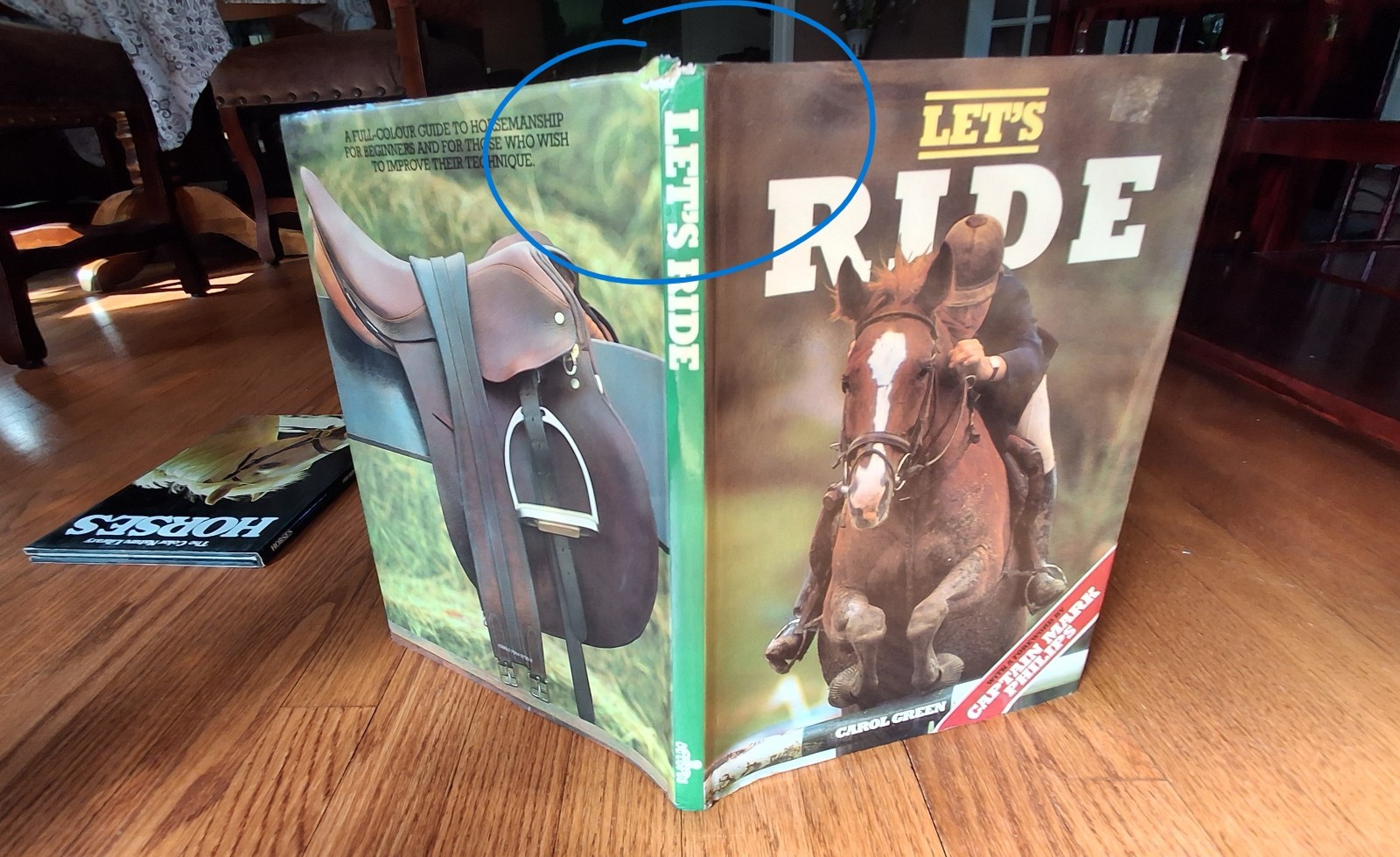 Horse Equestrian Picture Books Riding Horsemanship Horses 1970s Lot of 3 HCDJVG