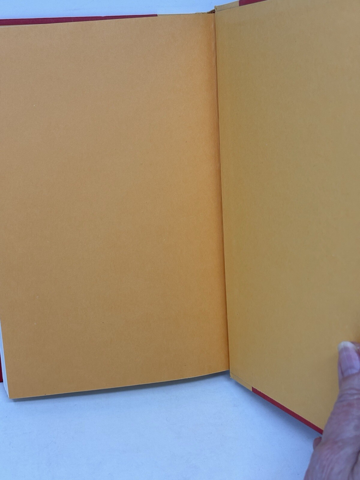 Sacred Fire by Isi Beller1994 Hardcover Mystery Thriller DJ 390 pages