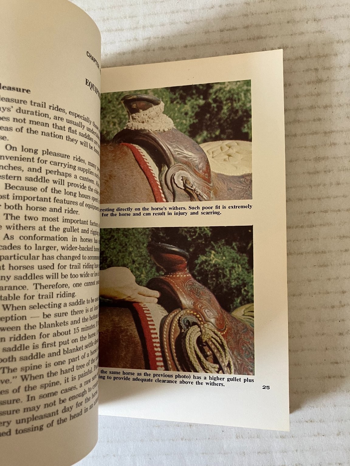 Know All About Trail Riding Sharon Saare Horse Library Vintage Equestrian PB
