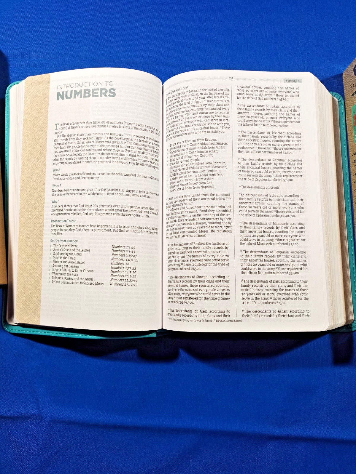 HCSB Essential Teen Study Bible Coral Flower Blue
