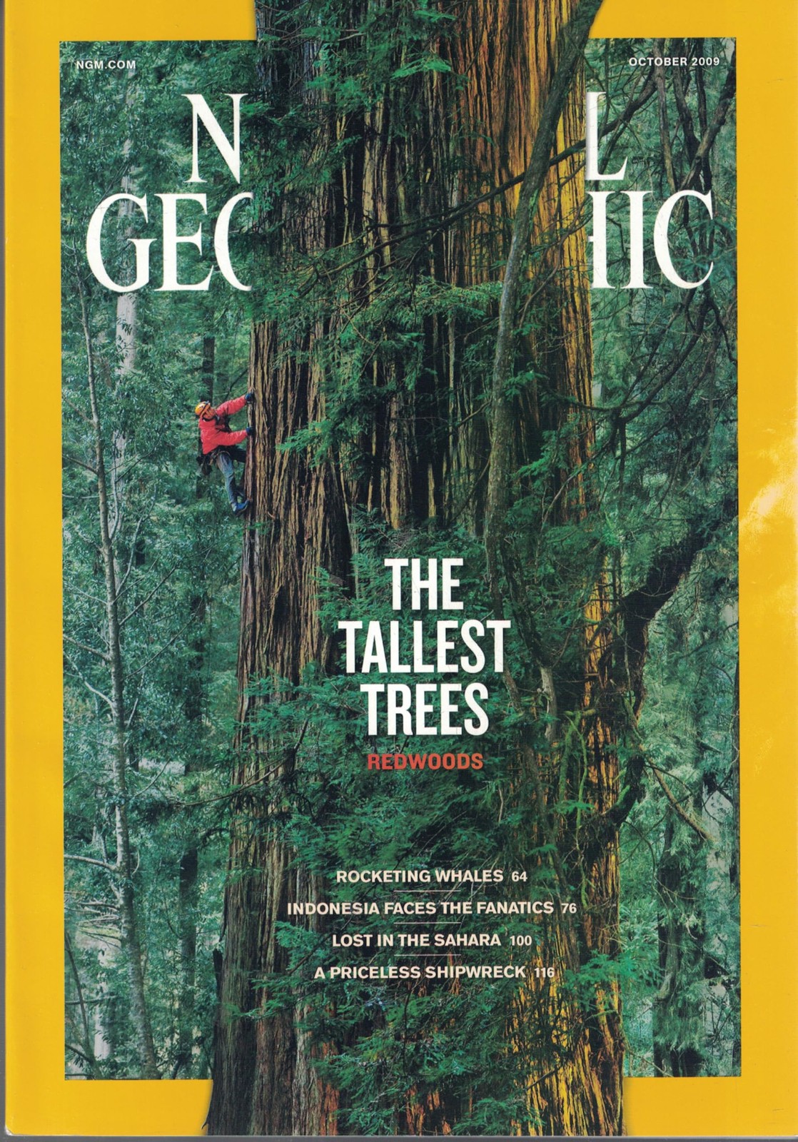 National Geographic. October 2009. Vol. 216 No. 4. The Tallest Trees. Redwoo…
