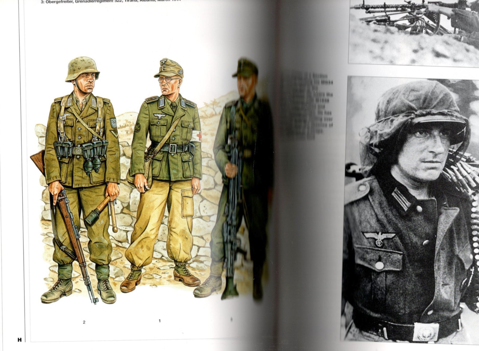 German Army 1939-45 (2): North Africa & Balkans, Osprey Men-at-Arms Series 316