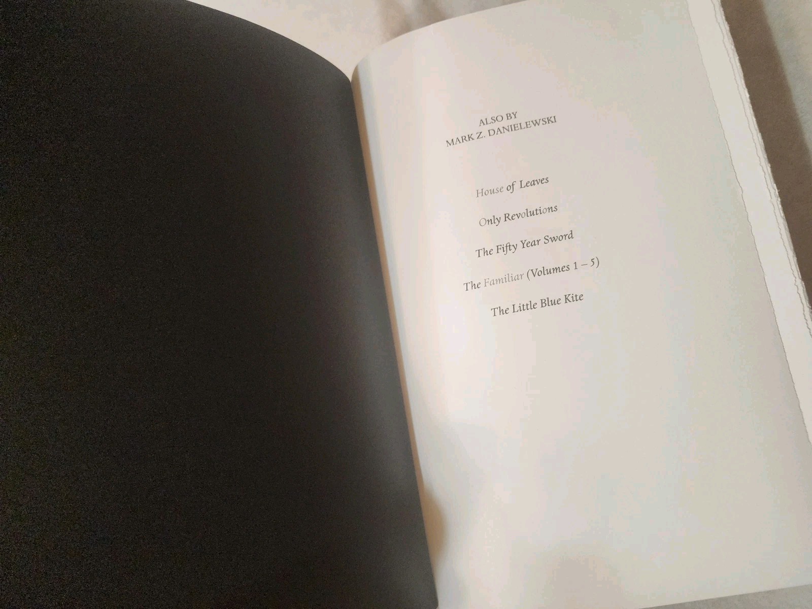 Tom’s Crossing : A Novel by Mark Z. Danielewski (2025, Hardcover) 1st Edition