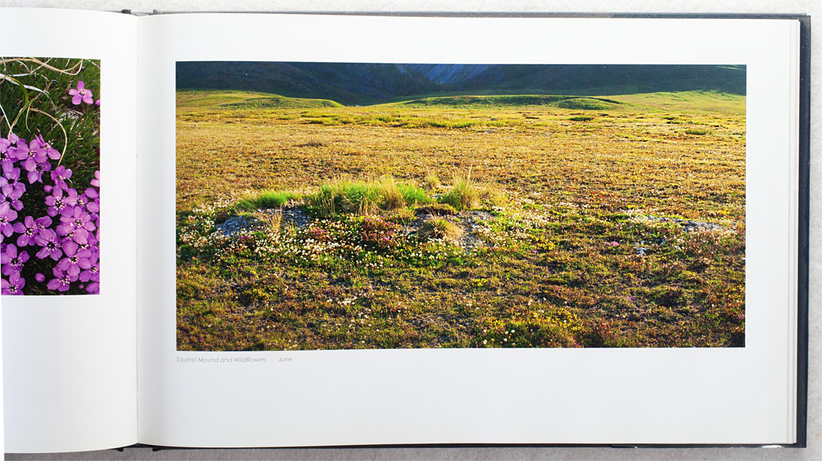 Arctic Sanctuary: Images of the Arctic National Wildlife Refuge