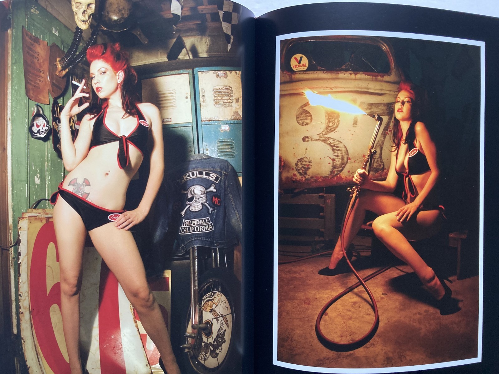 VIVA’S PINUPS – BULLET BRAS AND BACKSEAT BETTIES / VIVA VAN STORY / HARDBOUND
