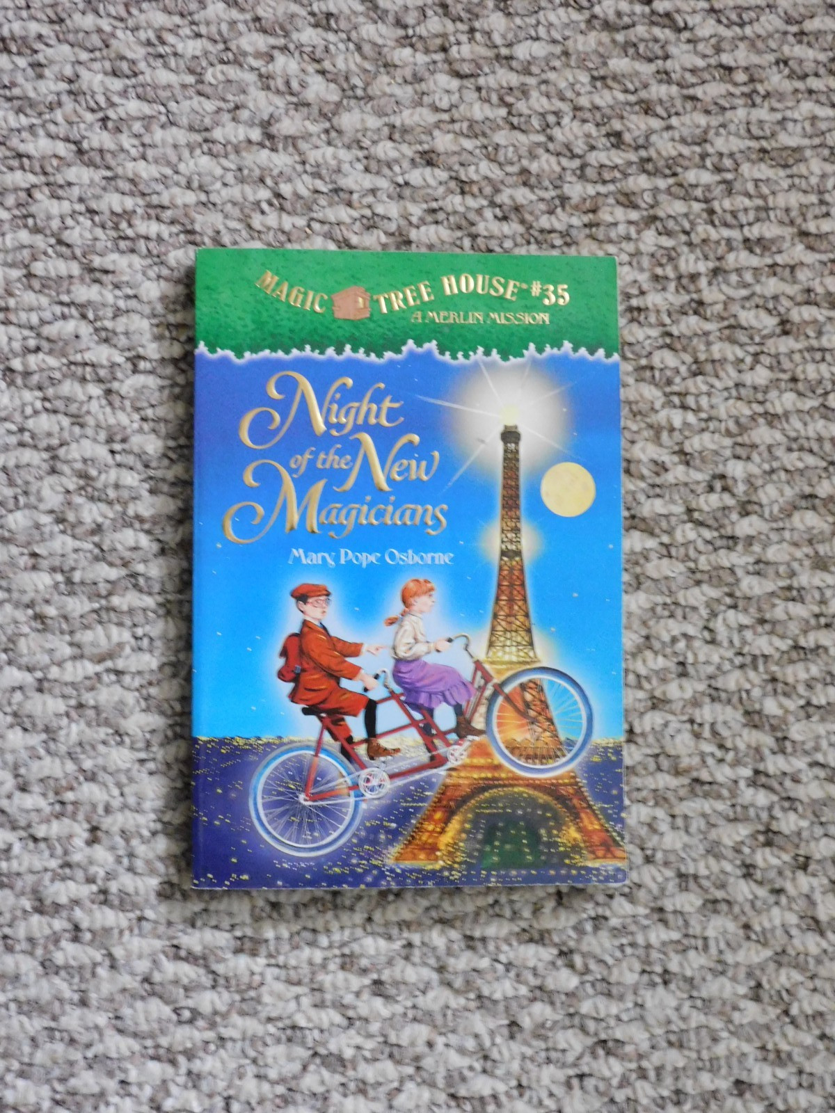 Lot of various Individual Magic Tree House Books: Mixed Publishers