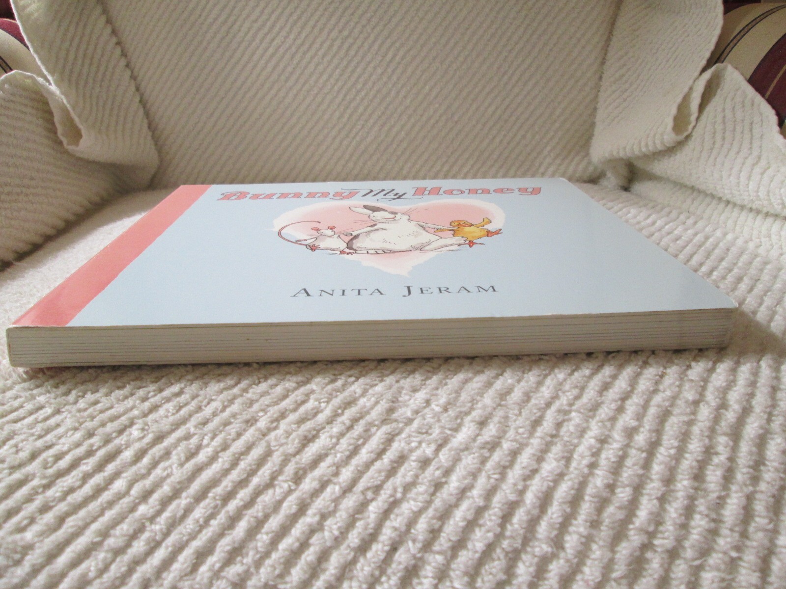 Bunny My Honey by Anita Jeram Big Board Book (9.25 x 10.5 inches)