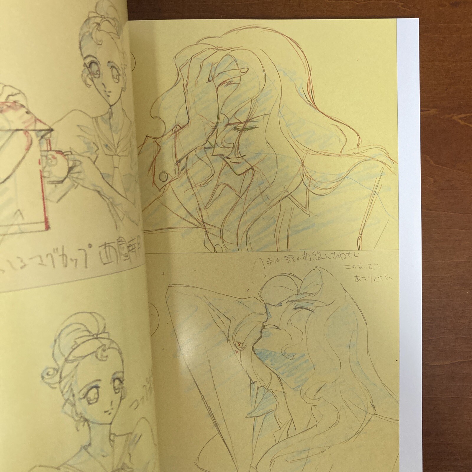 Revolutionary Girl Utena Art Book The hard core of UTENA Animation Side