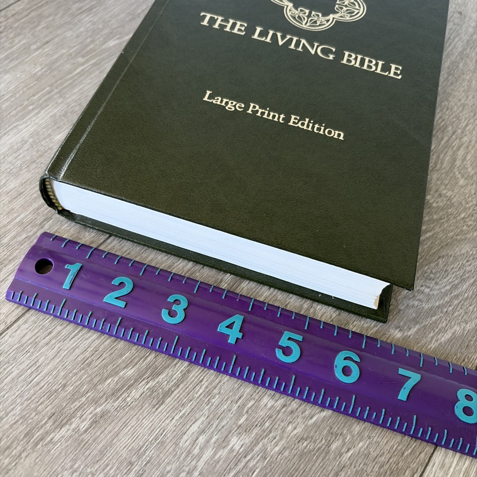 The Living Bible Large Print Edition Red Letter Holy Spiritual Book