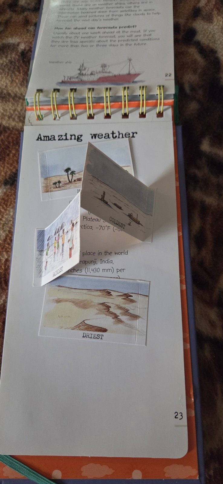 The Cool Kid’s Field Guide To Weather Lisa Regan Hardcover 26 Pages Flip Book