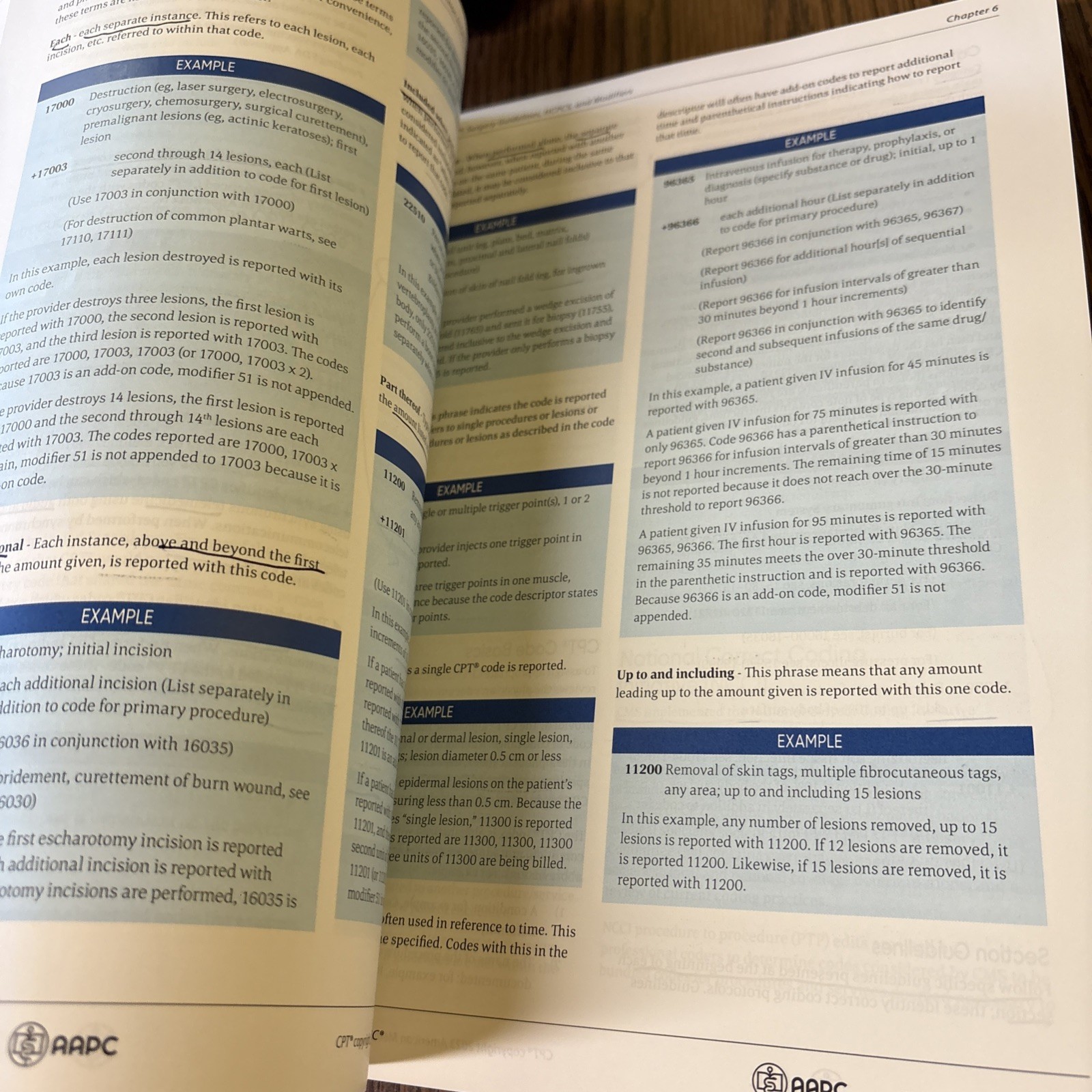 CPC Certified Professional Coder Training Manual 2024 AAPC