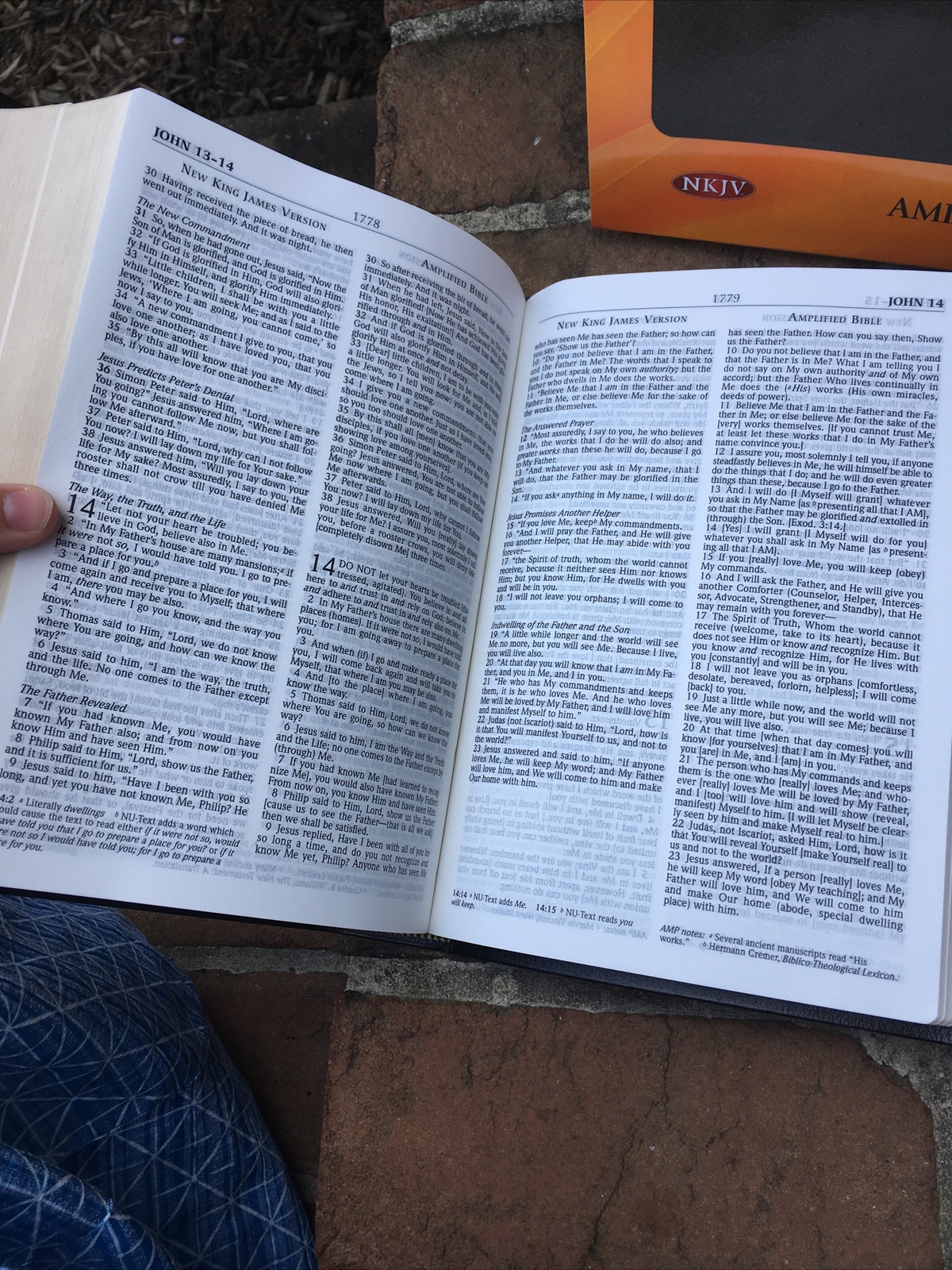 NKJV & Classic Amplified 1987 AMPC Parallel Bible – Black Bonded Leather