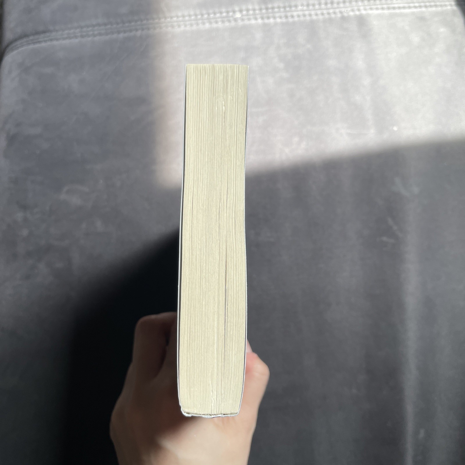 Highest Bidder by Sara Cate (2024, Trade Paperback)