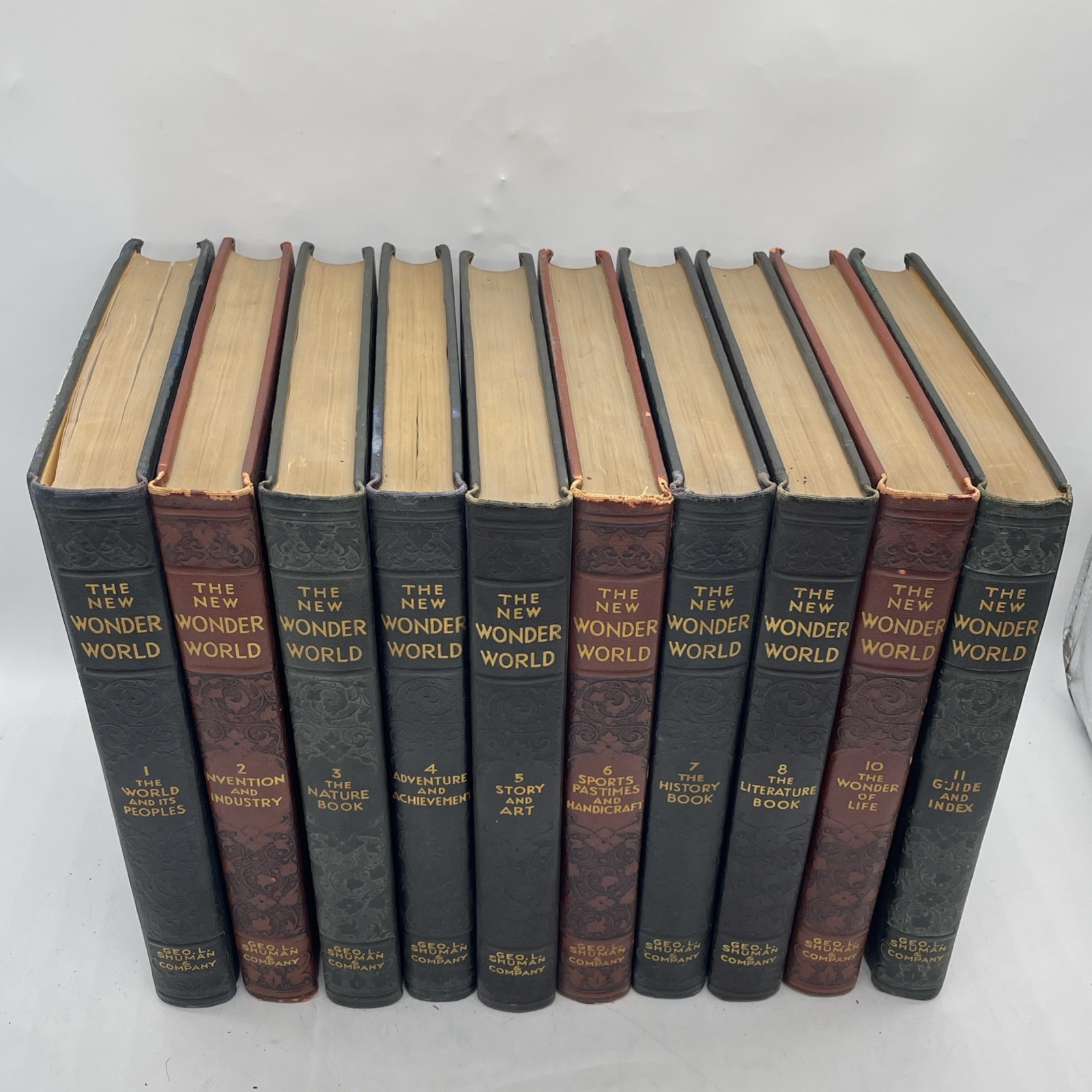 The New Wonder World Vol. 1-8 10&11 Set Geo. L. Shuman & Company Books